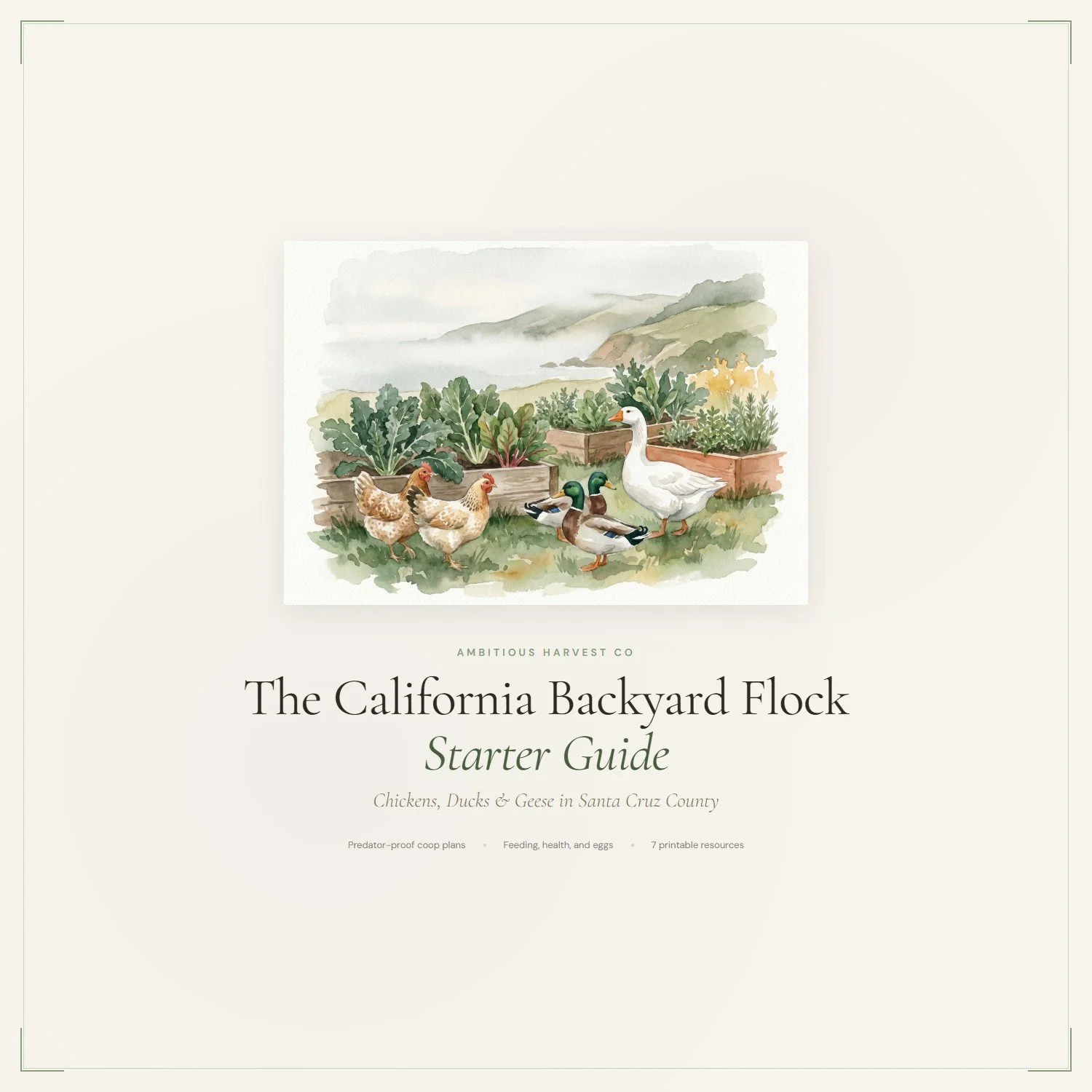 backyard-flock-starter-guide-1-cover.jpeg