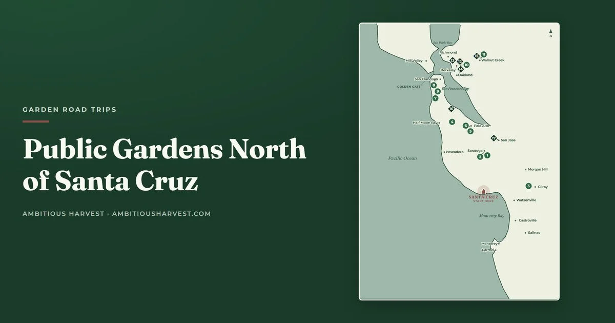 Public Gardens North of Santa Cruz: 11 Stops Worth the Drive