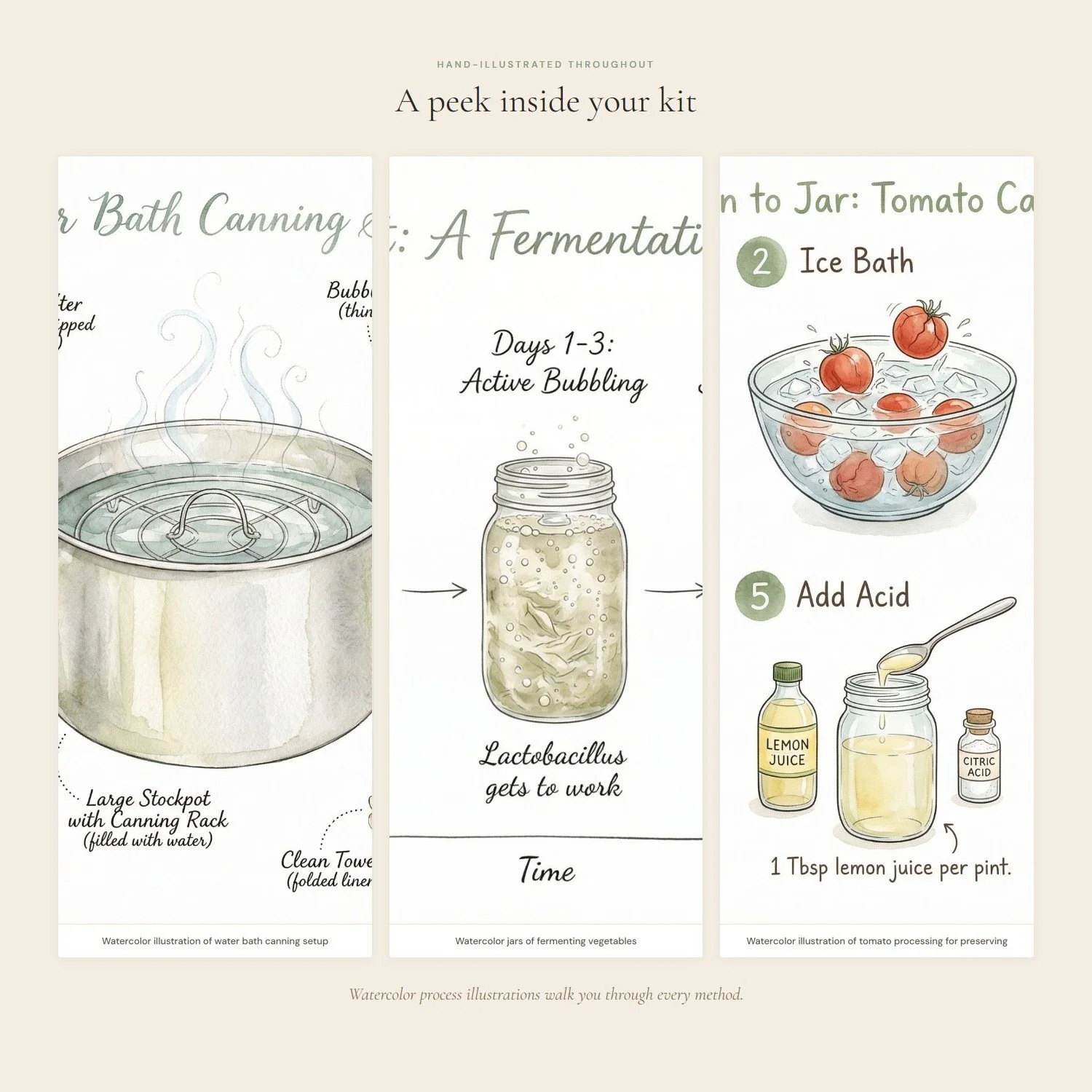 preserving-the-harvest-guide-3-interior.jpeg