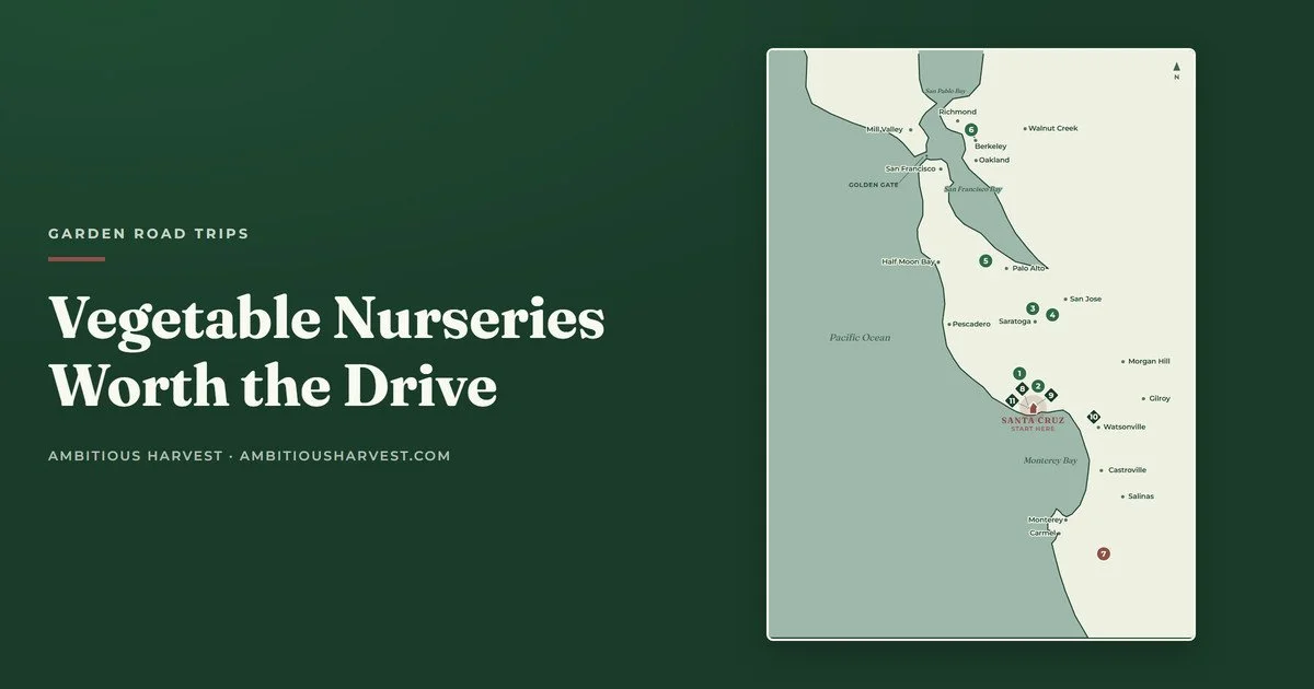 Heirloom Veggie Starts Worth the Drive from Santa Cruz: 7 Edible Nurseries North and South