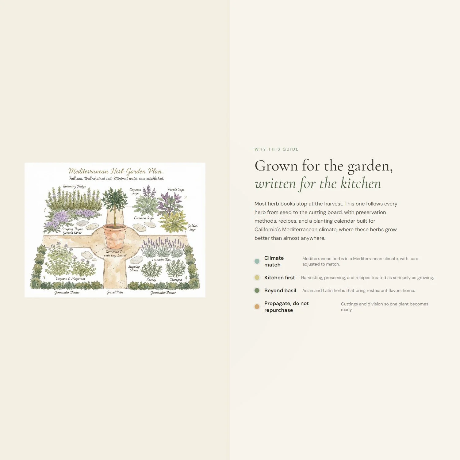 herb-growing-kitchen-garden-guide-4-differentiator.jpeg