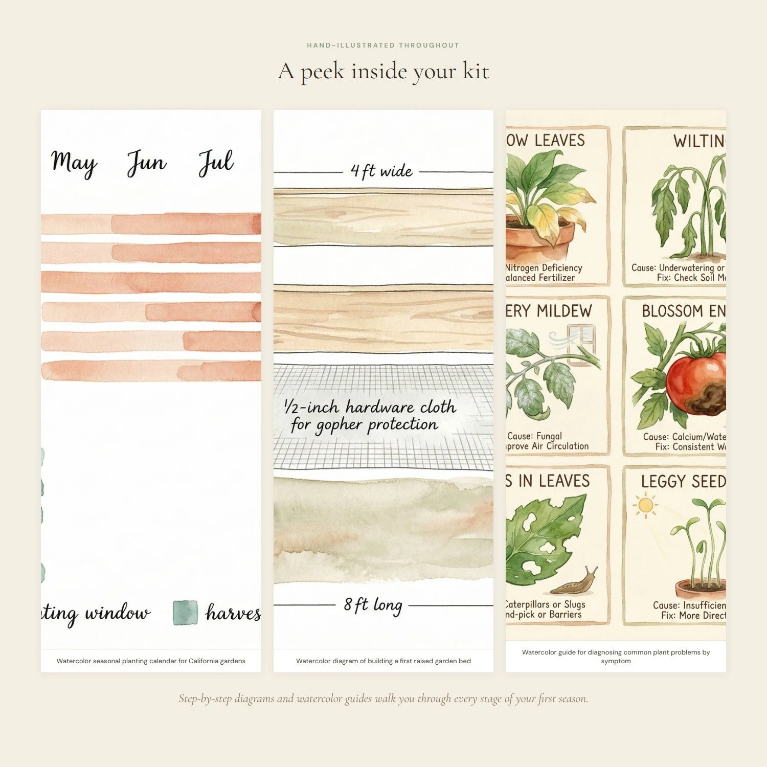 first-harvest-kit-3-interior.jpeg