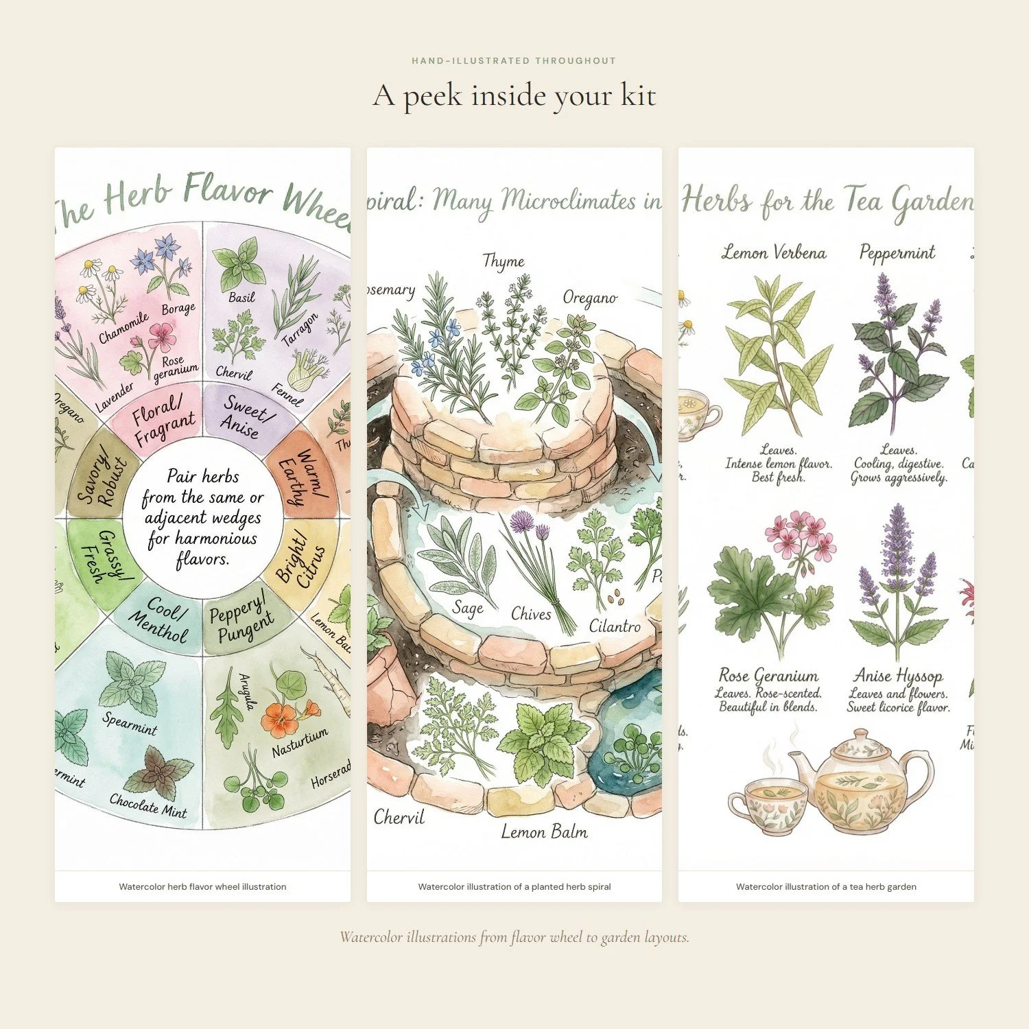herb-growing-kitchen-garden-guide-3-interior.jpeg