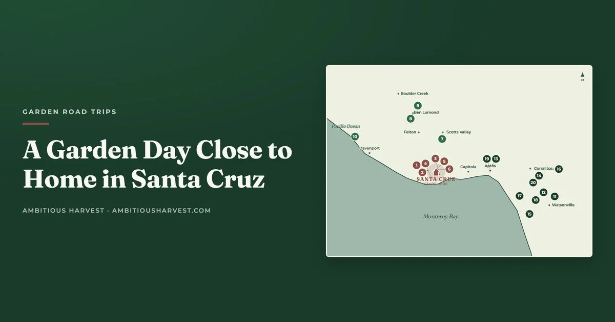 A Garden Day in Santa Cruz: The Best Local Gardens, Nurseries, and U-Pick Farms Without Leaving the County