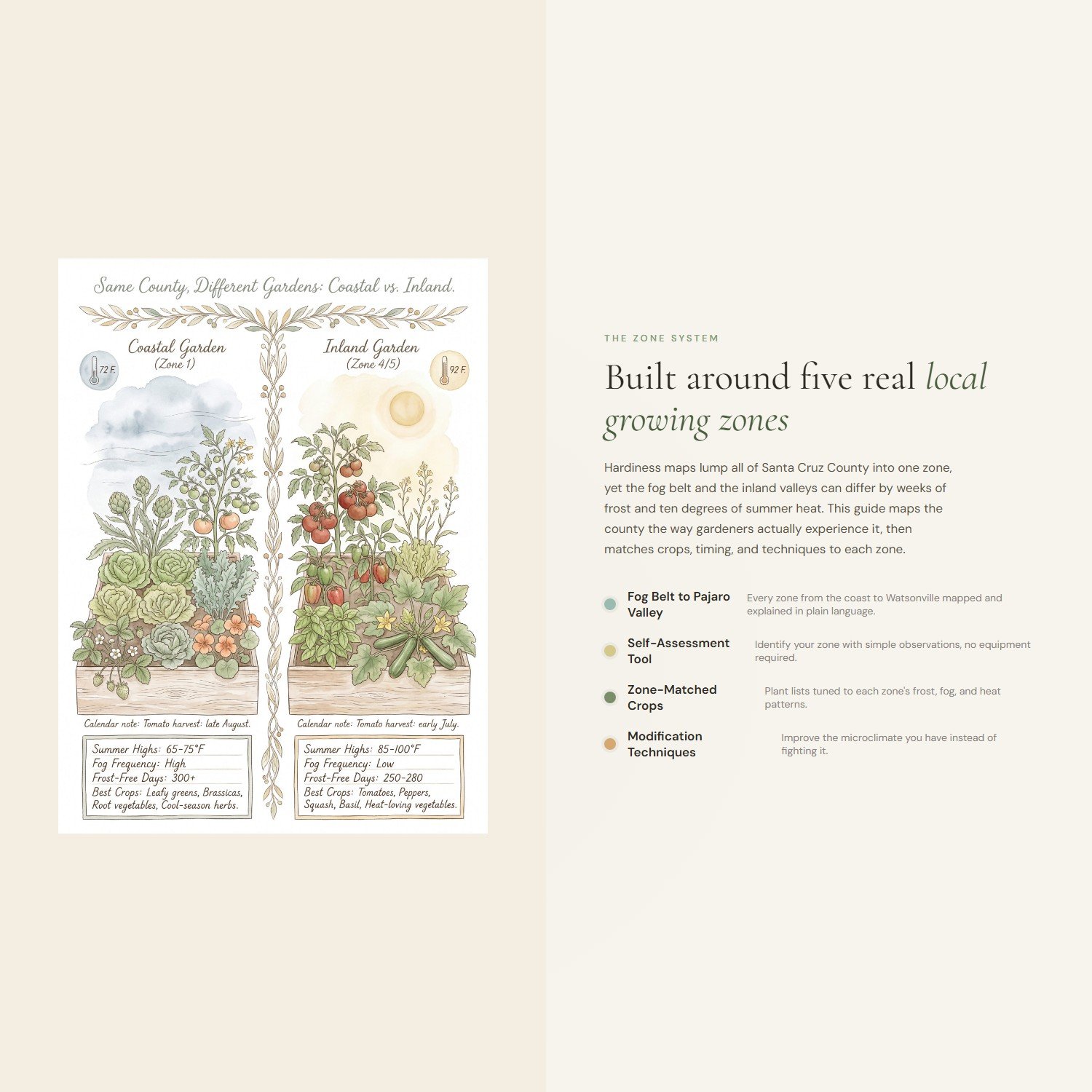 microclimate-mastery-guide-4-differentiator.jpeg