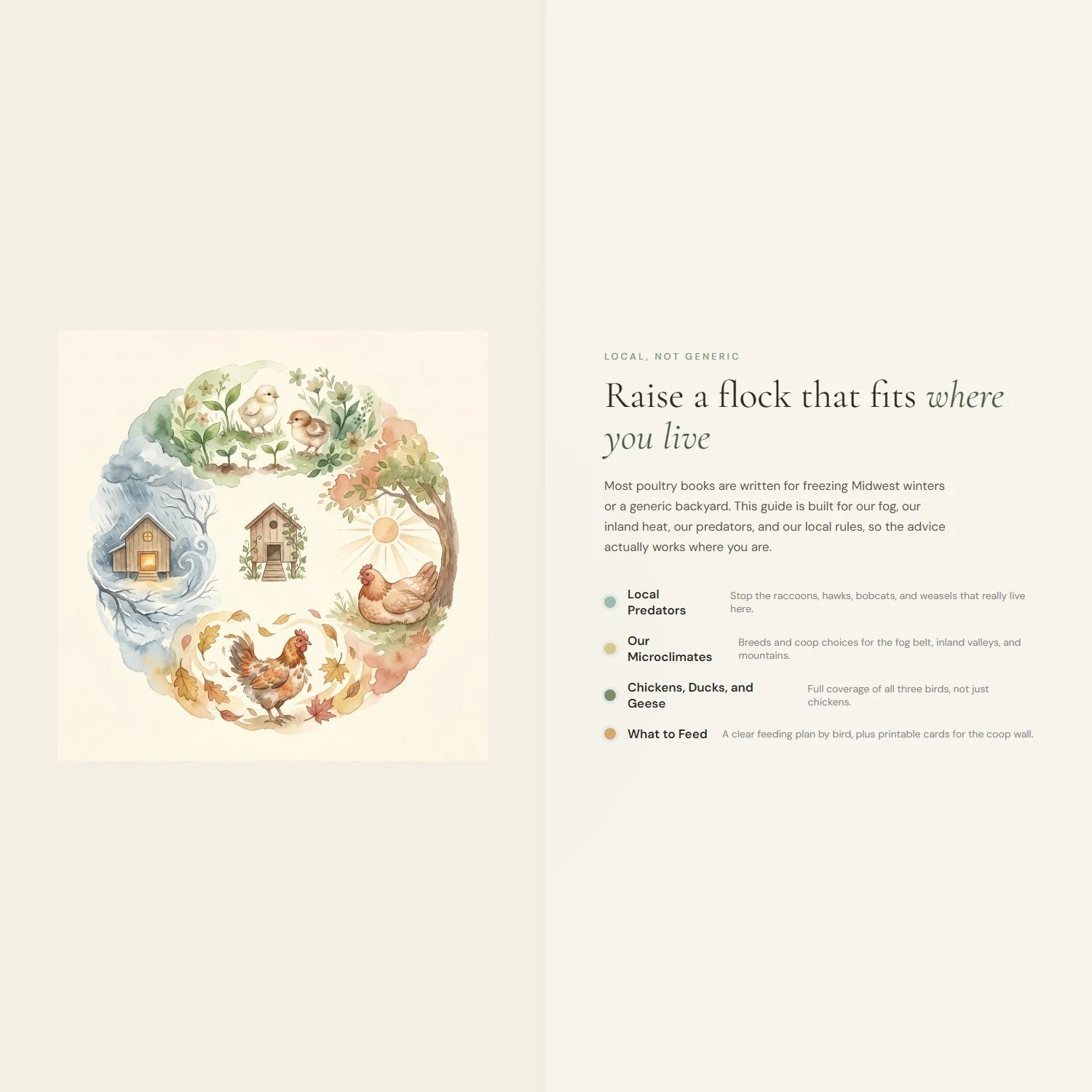 backyard-flock-starter-guide-4-differentiator.jpeg