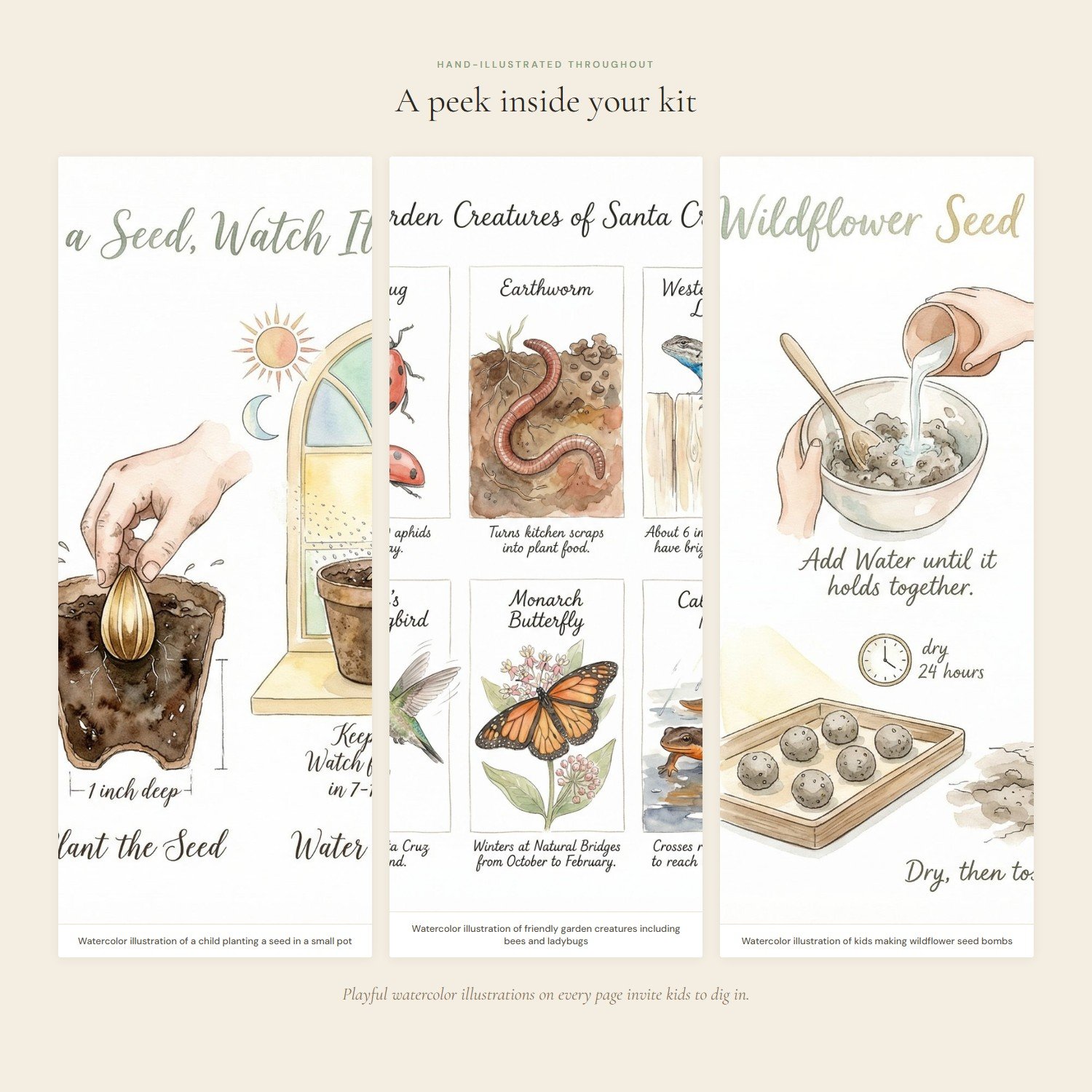 kids-garden-activity-pack-3-interior.jpeg