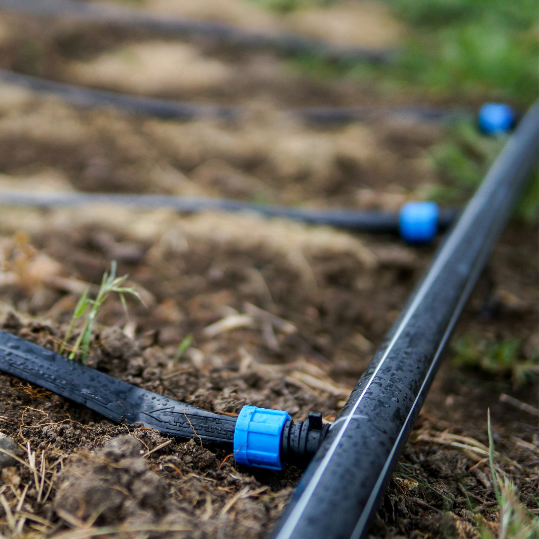 Best Drip Irrigation Kits for California Raised Beds