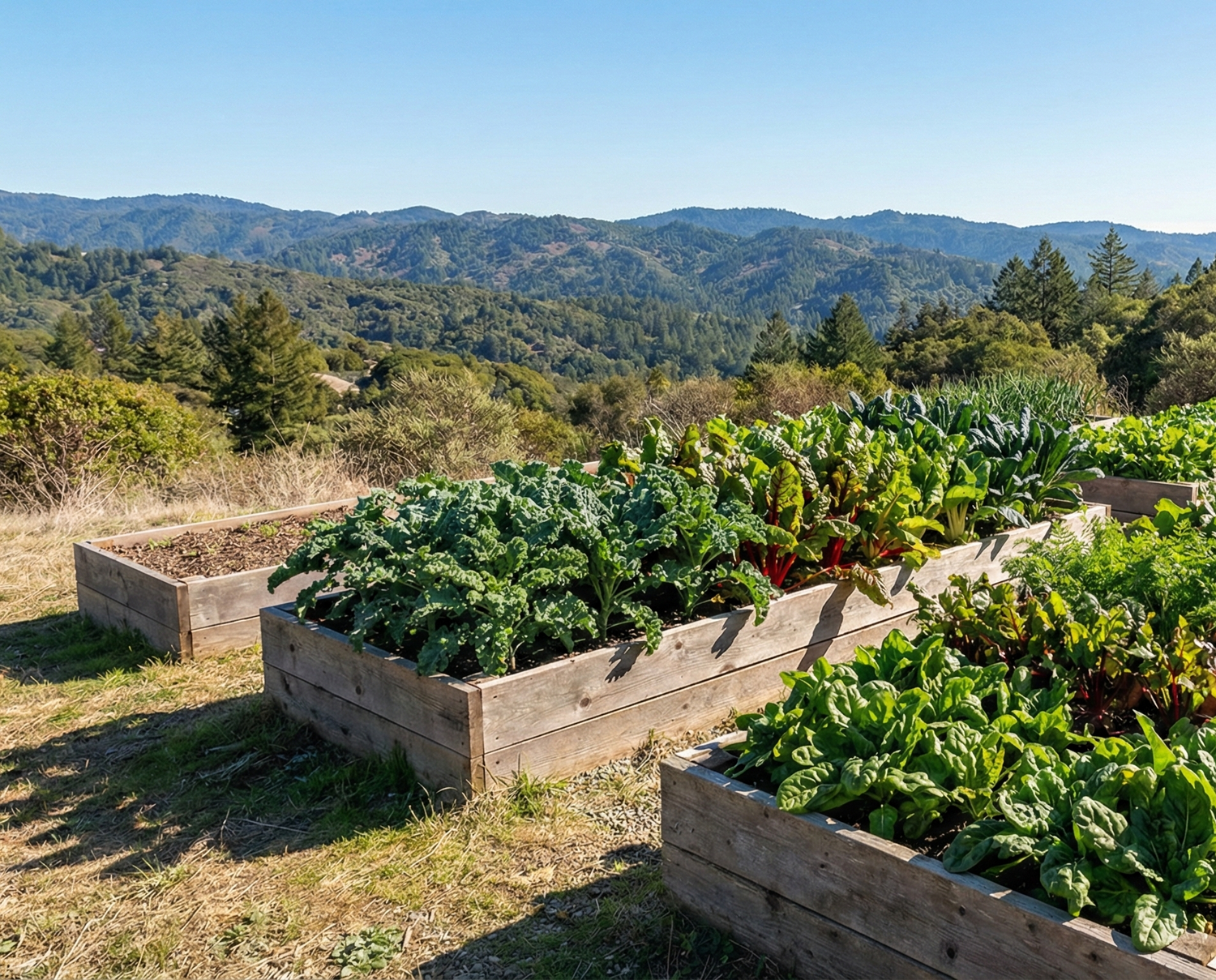 What to Plant in Santa Cruz & the Bay Area in March