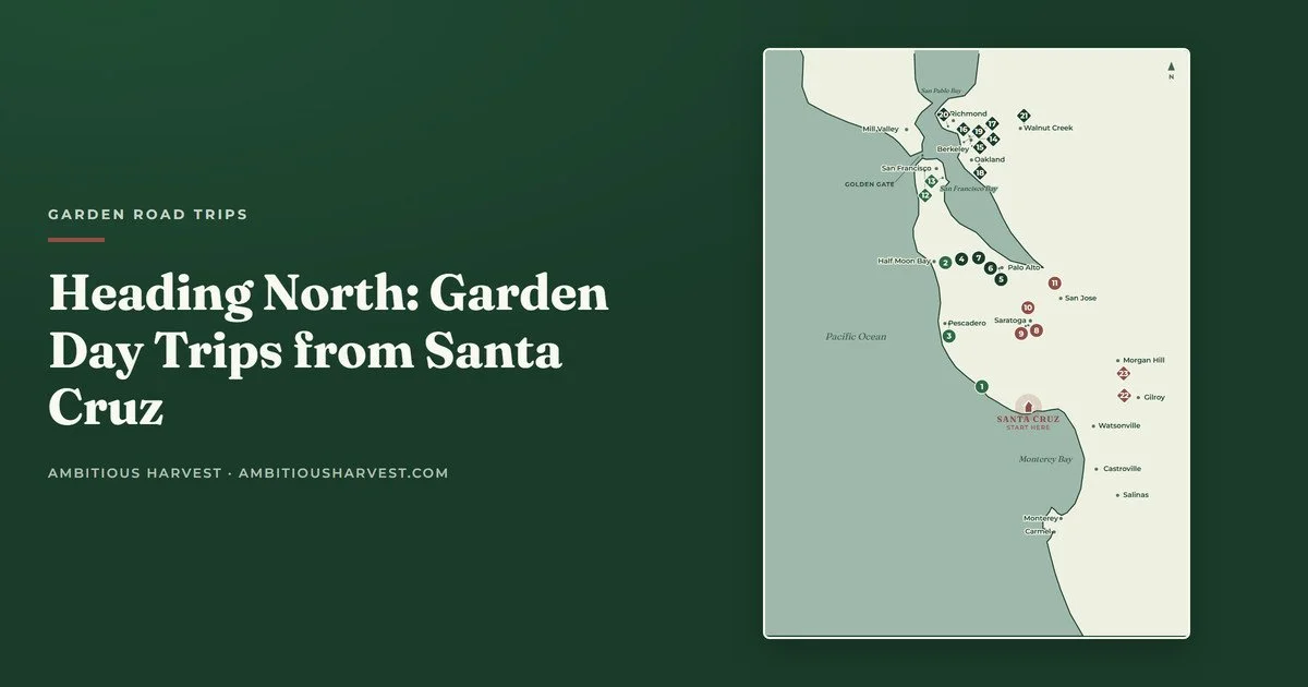 Heading North: 6 Garden Day Trips from Santa Cruz, Route by Route