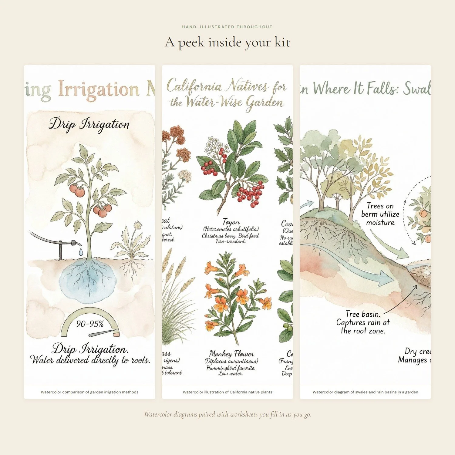water-wise-garden-workbook-3-interior.jpeg