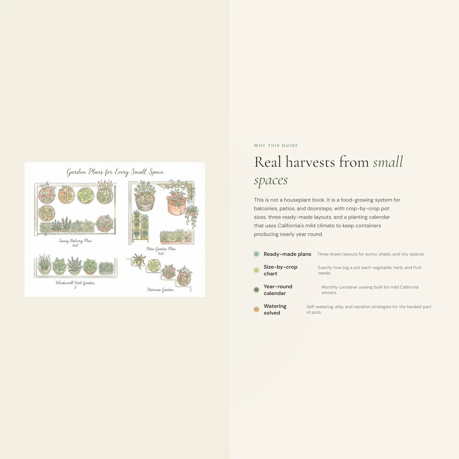 container-garden-guide-4-differentiator.jpeg