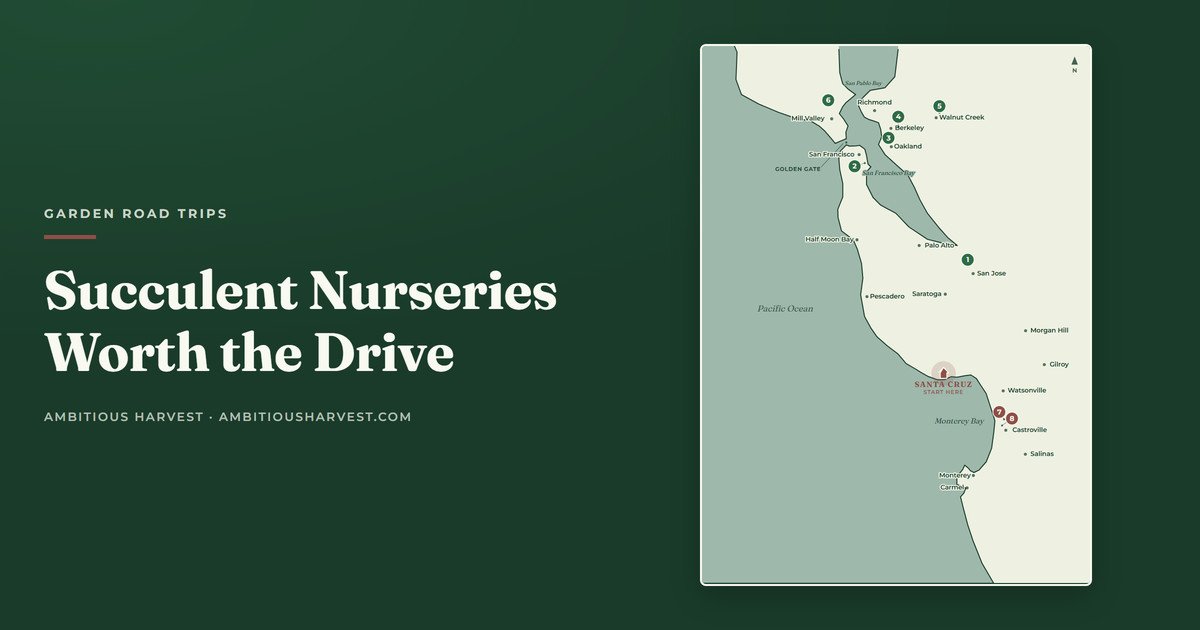 Succulent and Cactus Nurseries Worth the Drive from Santa Cruz: 8 Stops North and South