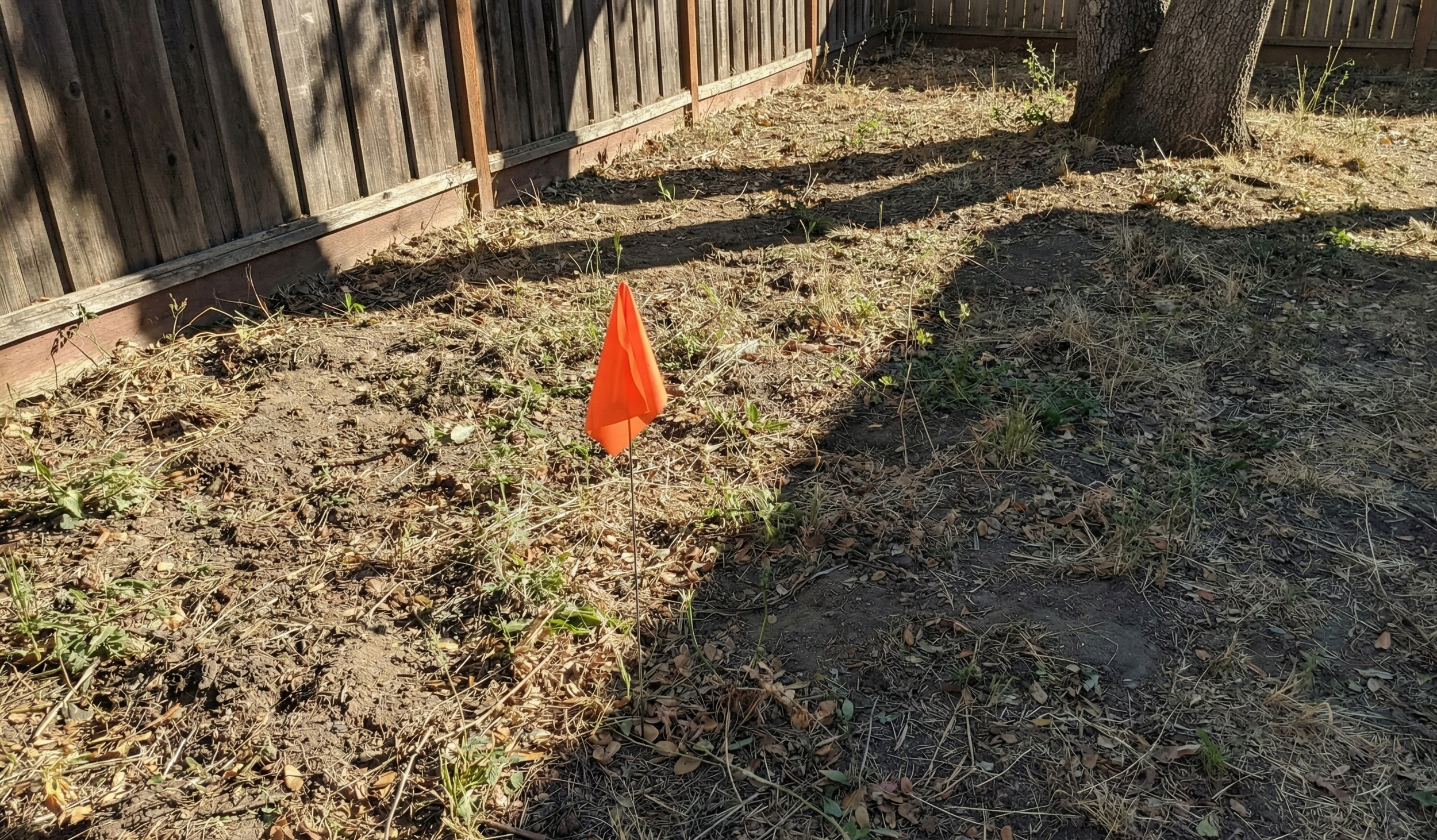 Mapping sun pattern in Ben Lomond garden