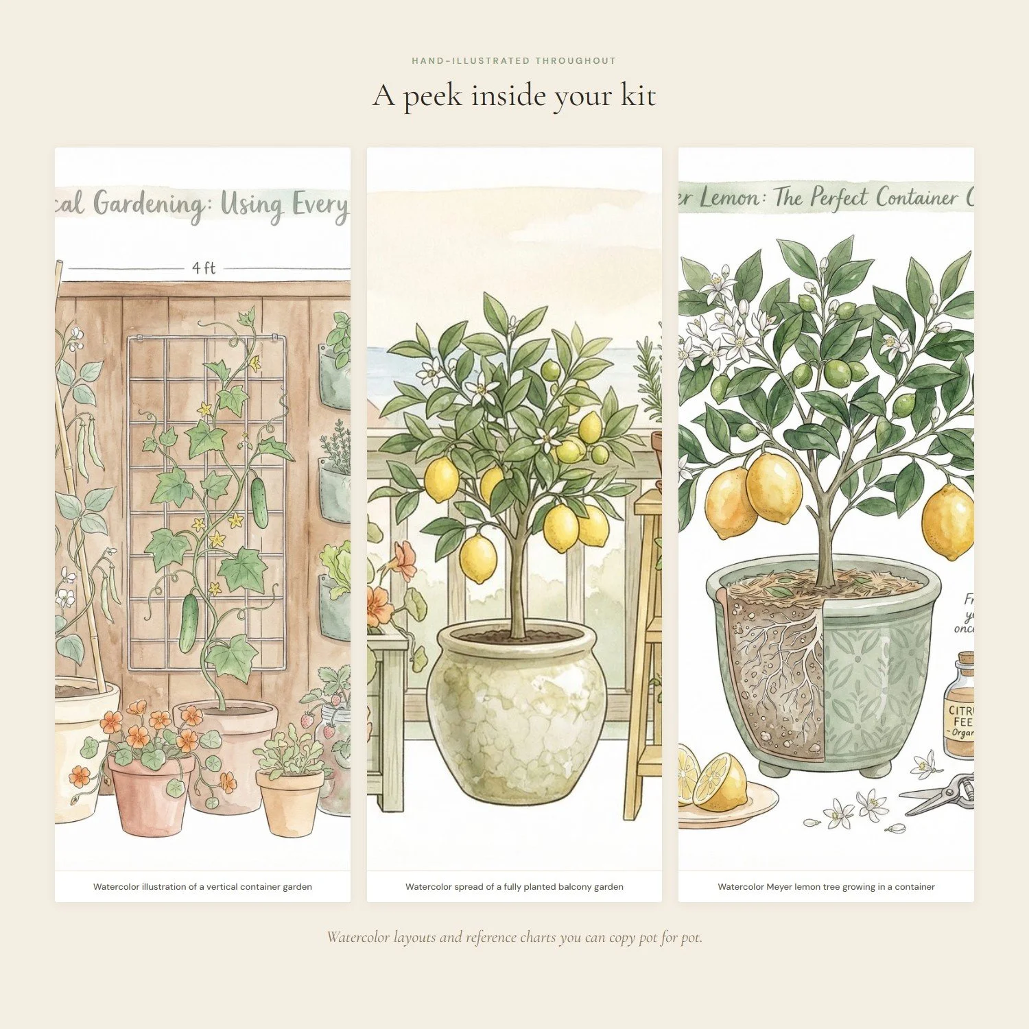 container-garden-guide-3-interior.jpeg
