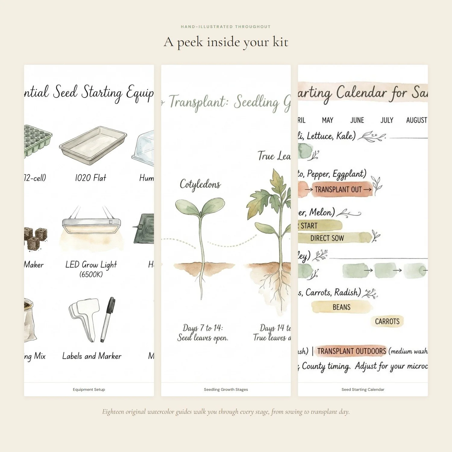 seed-starting-success-kit-3-interior.jpeg