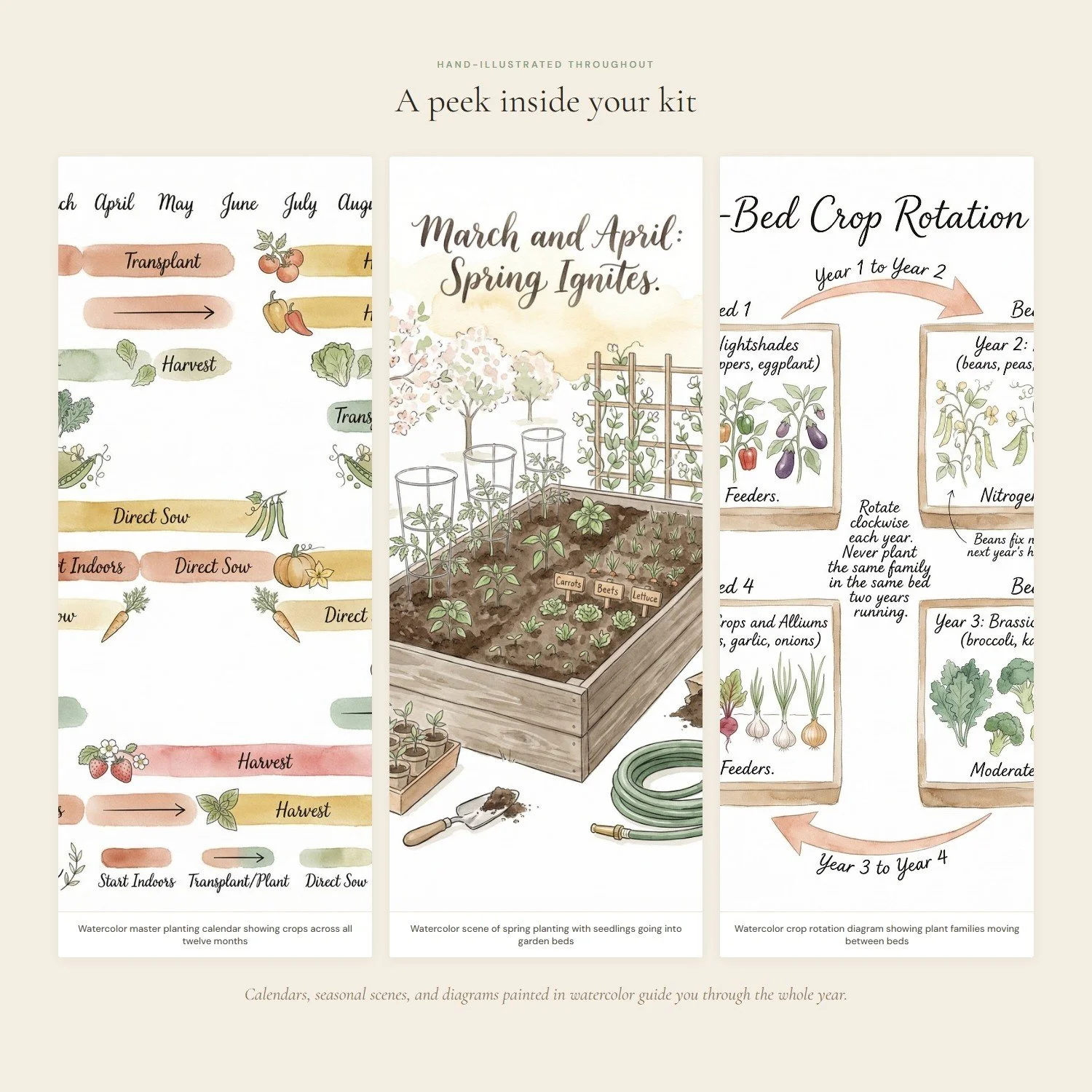 seasonal-planting-master-guide-3-interior.jpeg
