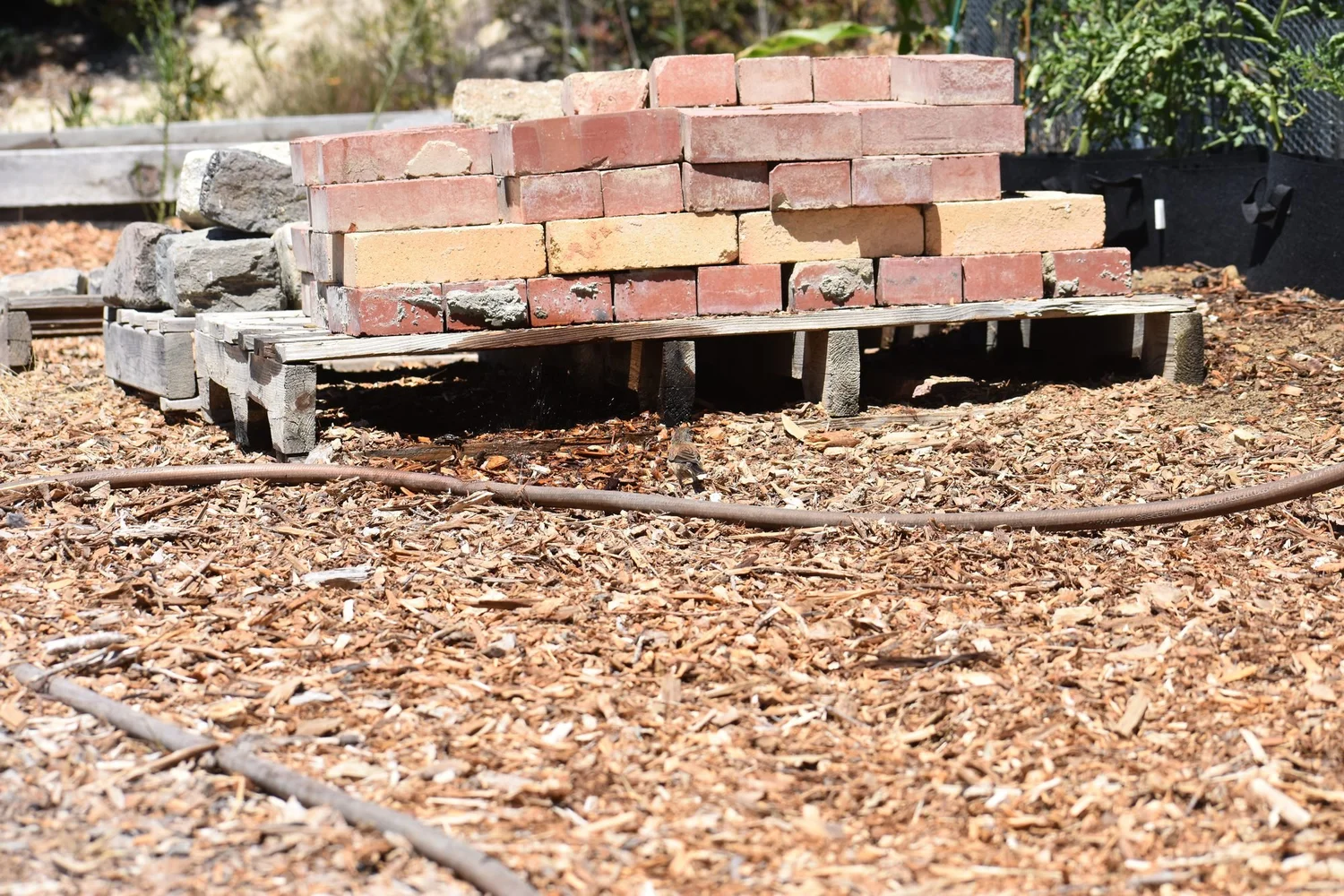 Fire-Wise Landscaping on a Budget
