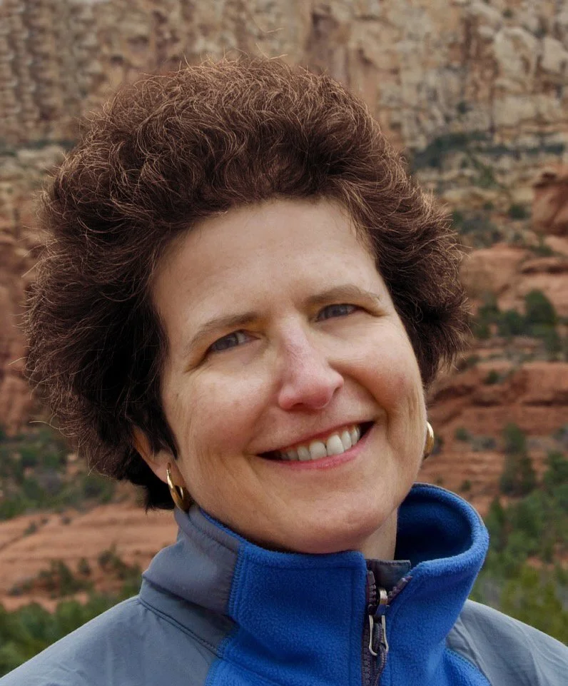 Carol Efron's debut novel, A Hidden Fate, garners favorable Kirkus review