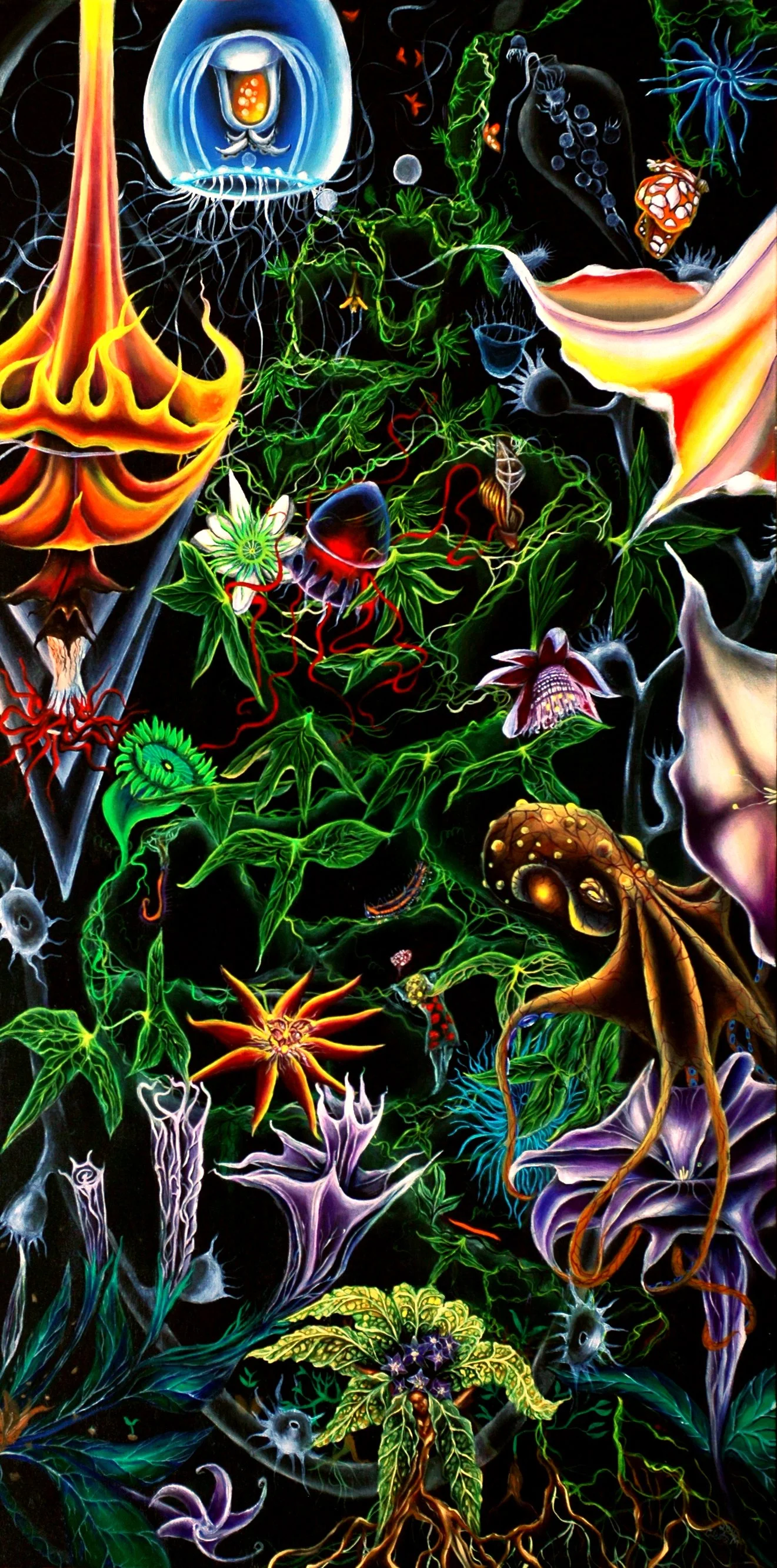 359-2 Metamorphosis.jpg