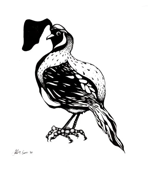 5 quail.jpg