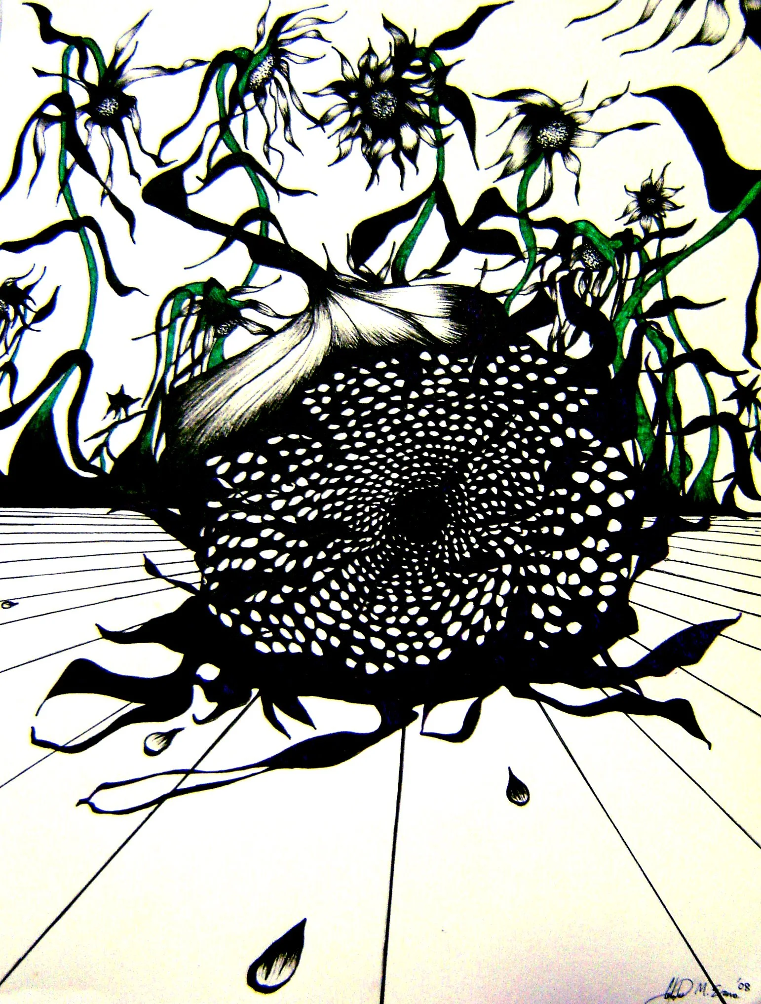 11 sunflowers.jpg