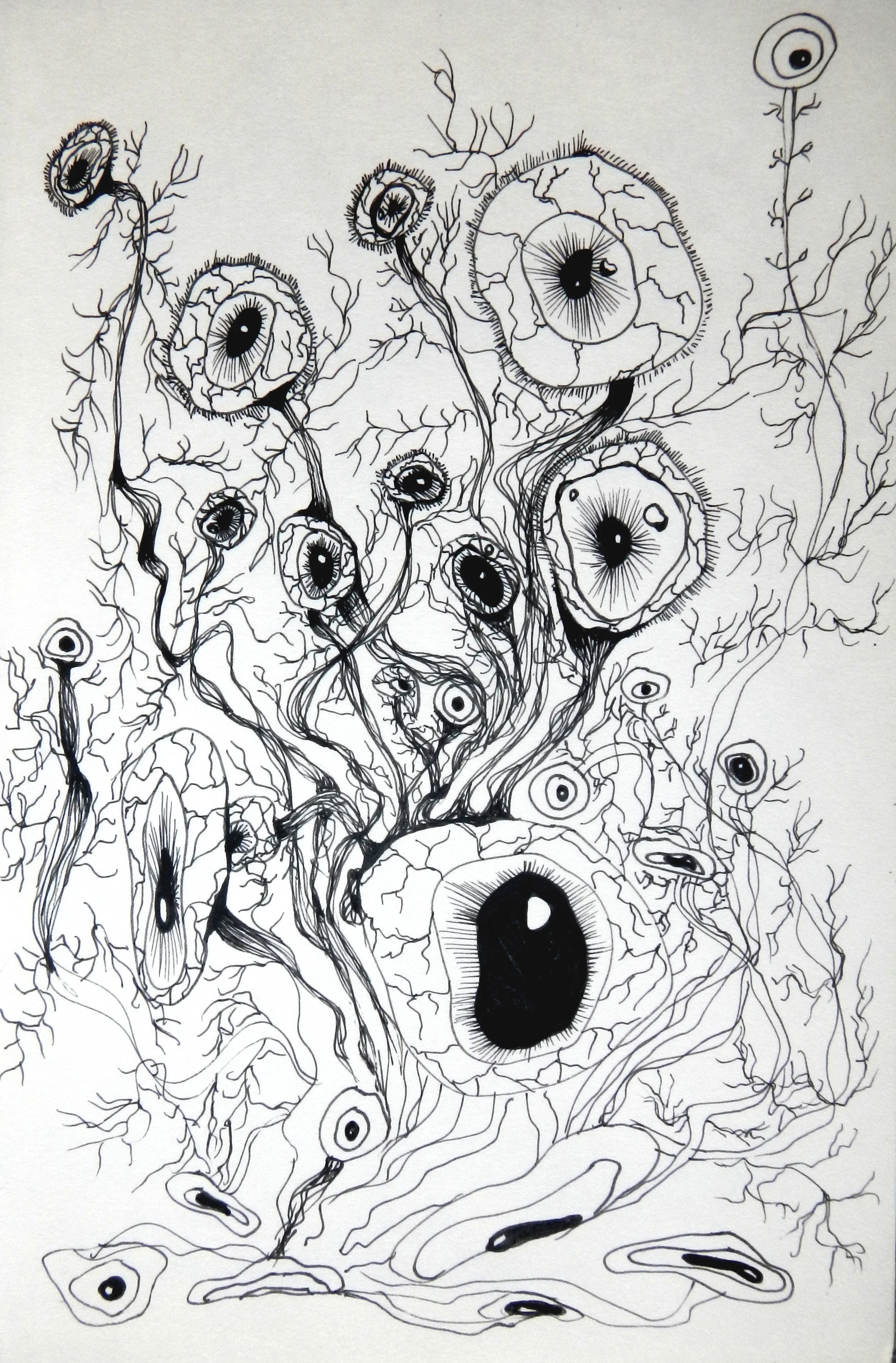 15 eye plant.jpg