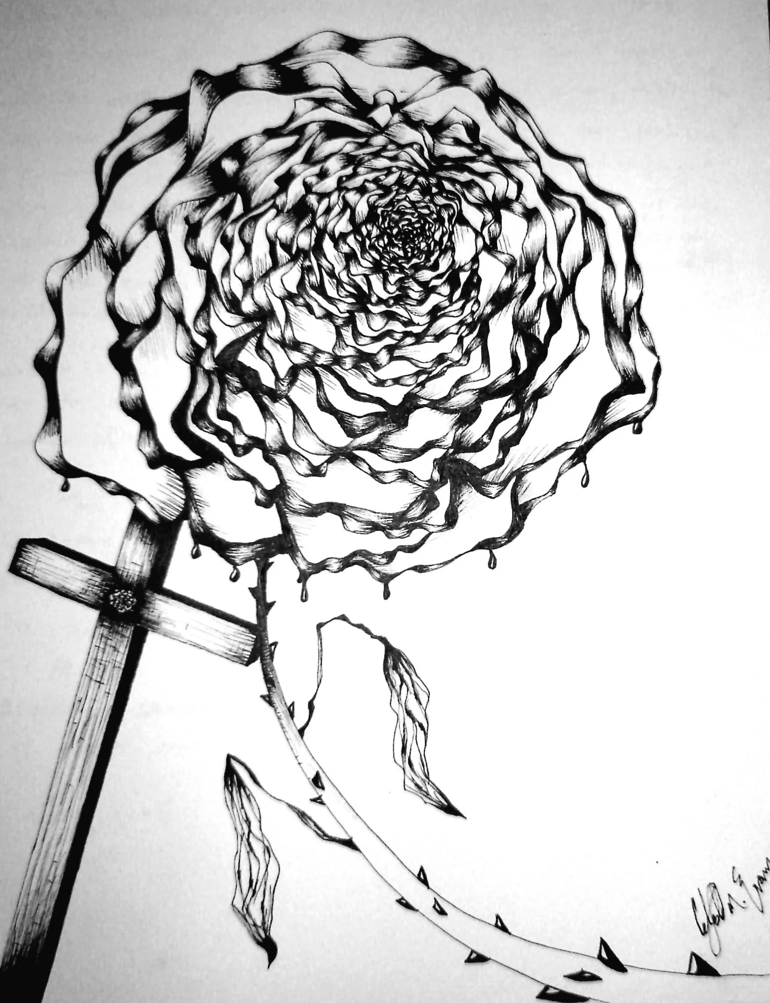 8 rosy cross.jpg