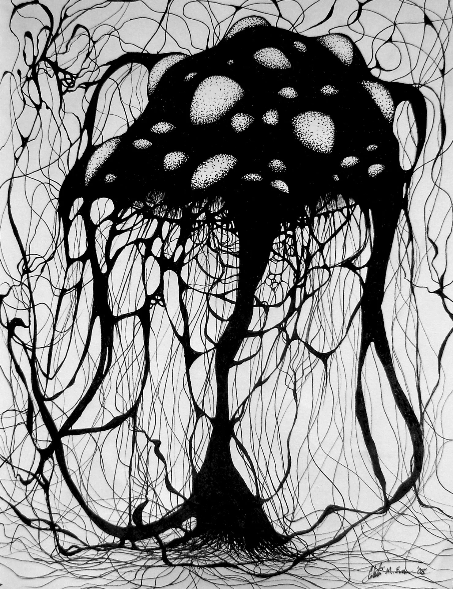 17 jellyfish mushroom.jpg