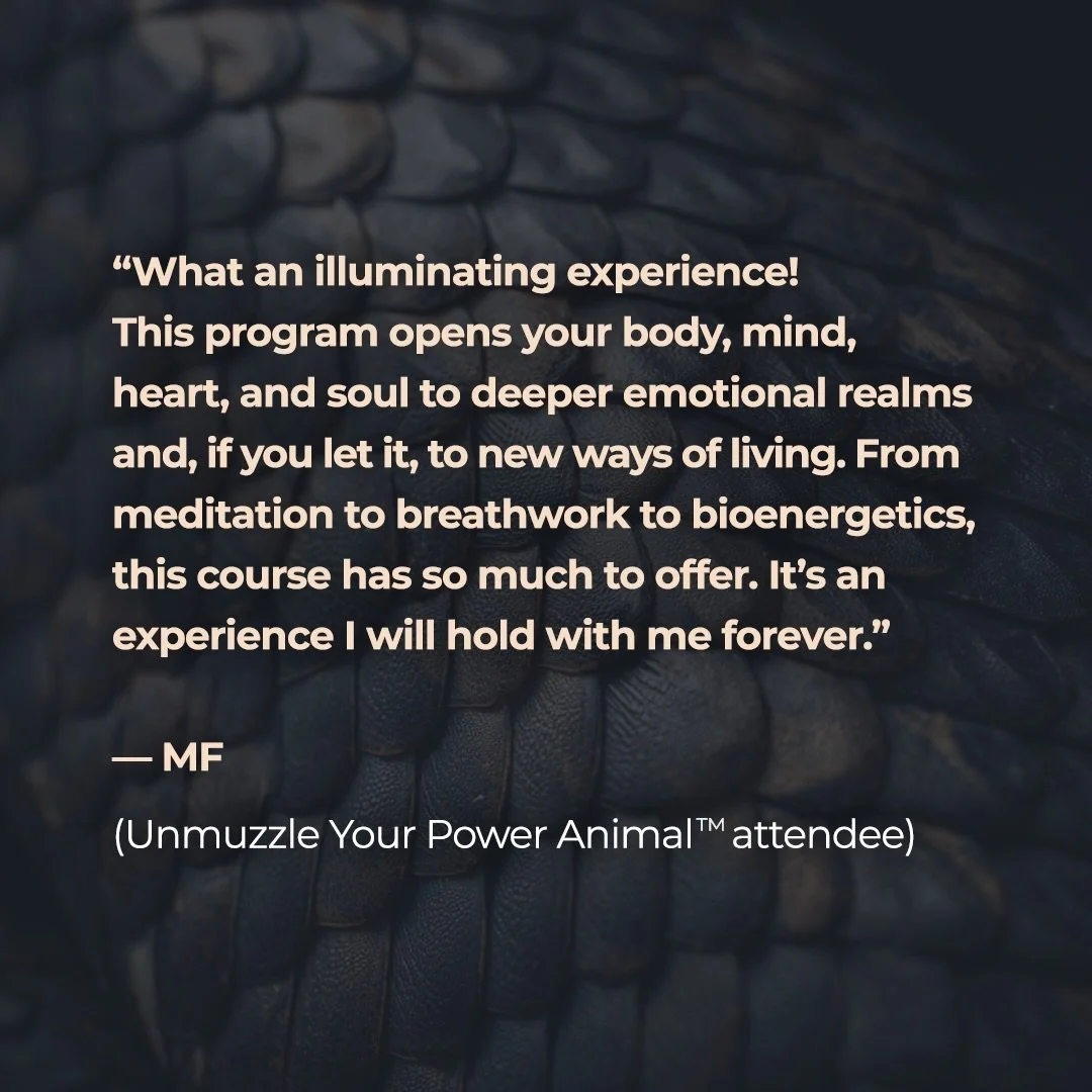 Thank you for trusting the journey and letting it meet you so deeply!

Unmuzzle Your Power Animal&trade; is&nbsp;a musically guided continuous arc through the nervous system, including:

&bull; breathwork
&bull; bioenergetic release
&bull; full-body 