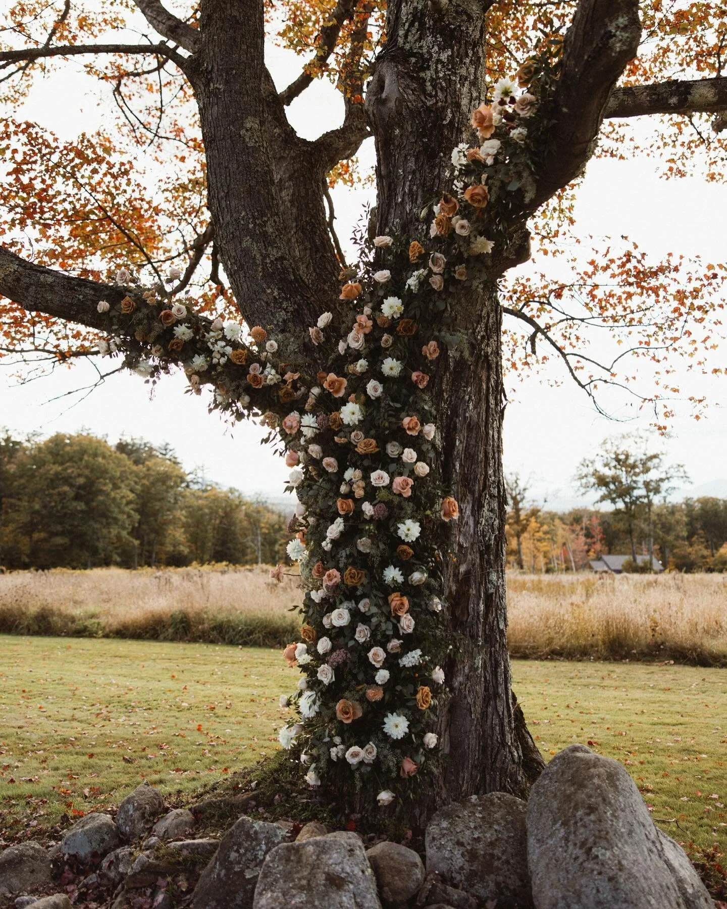 Throwing it back to one year ago today celebrating Carlin and Zach at Whiteface Hollow. I loved this color palette so much and @sydneykerbysonphotography captured it so beautifully. Happy anniversary you two! ☺️ 🥂 🍾 
&bull;
&bull;
&bull;
&bull;
#bo