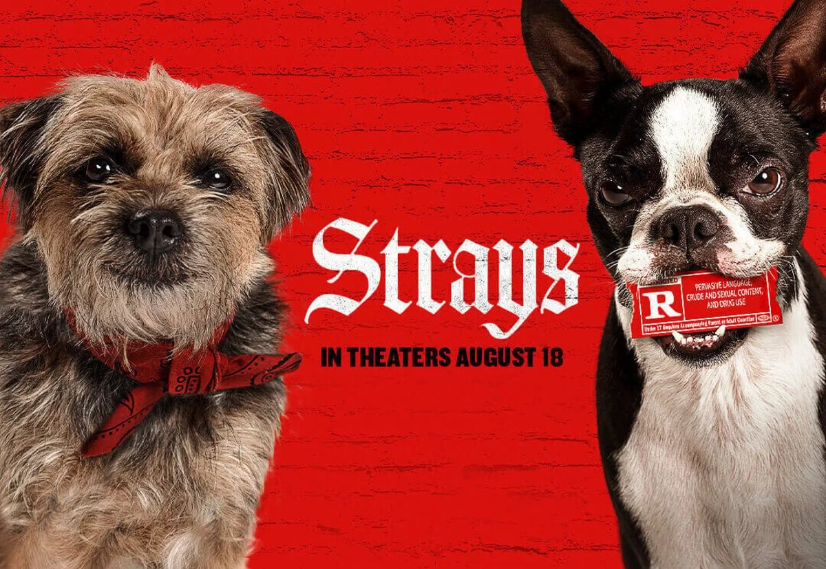 04-strays-dm-mobile-banner-1080x745-kr-f01-051723-1-1-1-6466543fed4d8-1.jpg