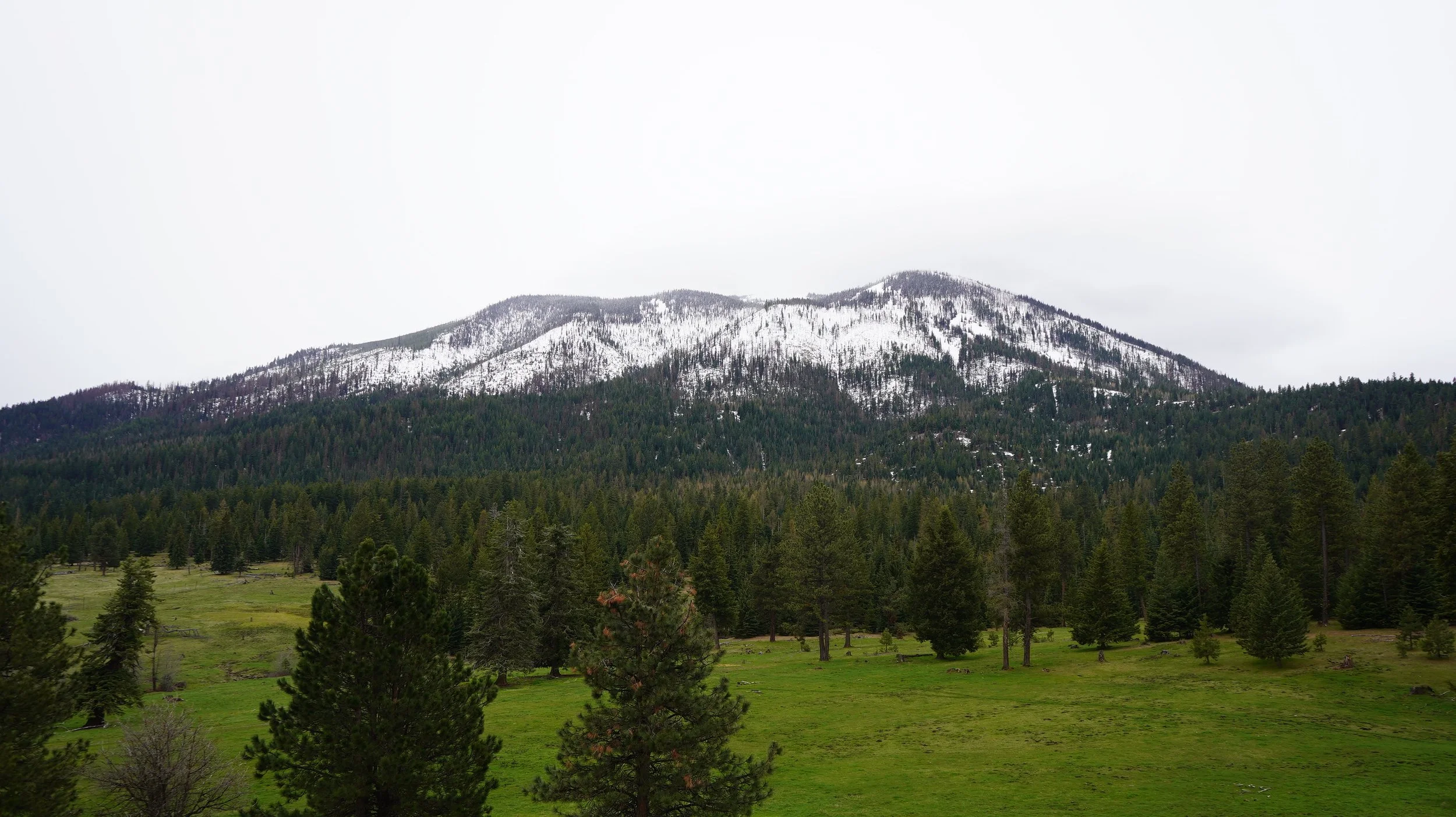 East Moraine Community Forest - View to Eagle Cap Mtns.JPG