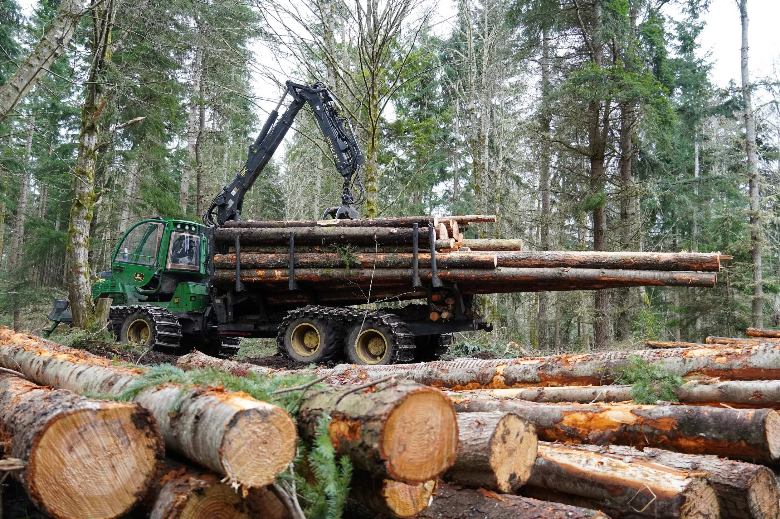 Trillium Community Forest: Ecological Goals through Local Contracting 