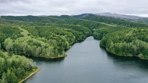 Bear Ridge Bear Ridge Community Forest — NORTHWEST COMMUNITY FORESTS