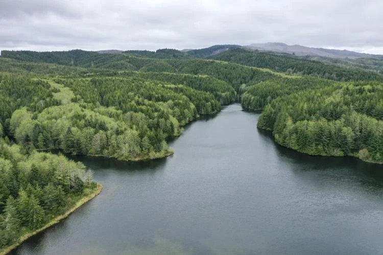 This image shows a reservoir surrounded by forested ridges.