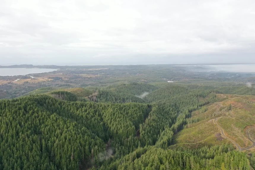 This image shows several forested ridges with the ocean visible in the background. Some patches have recently been harvested, while others are mature forest.