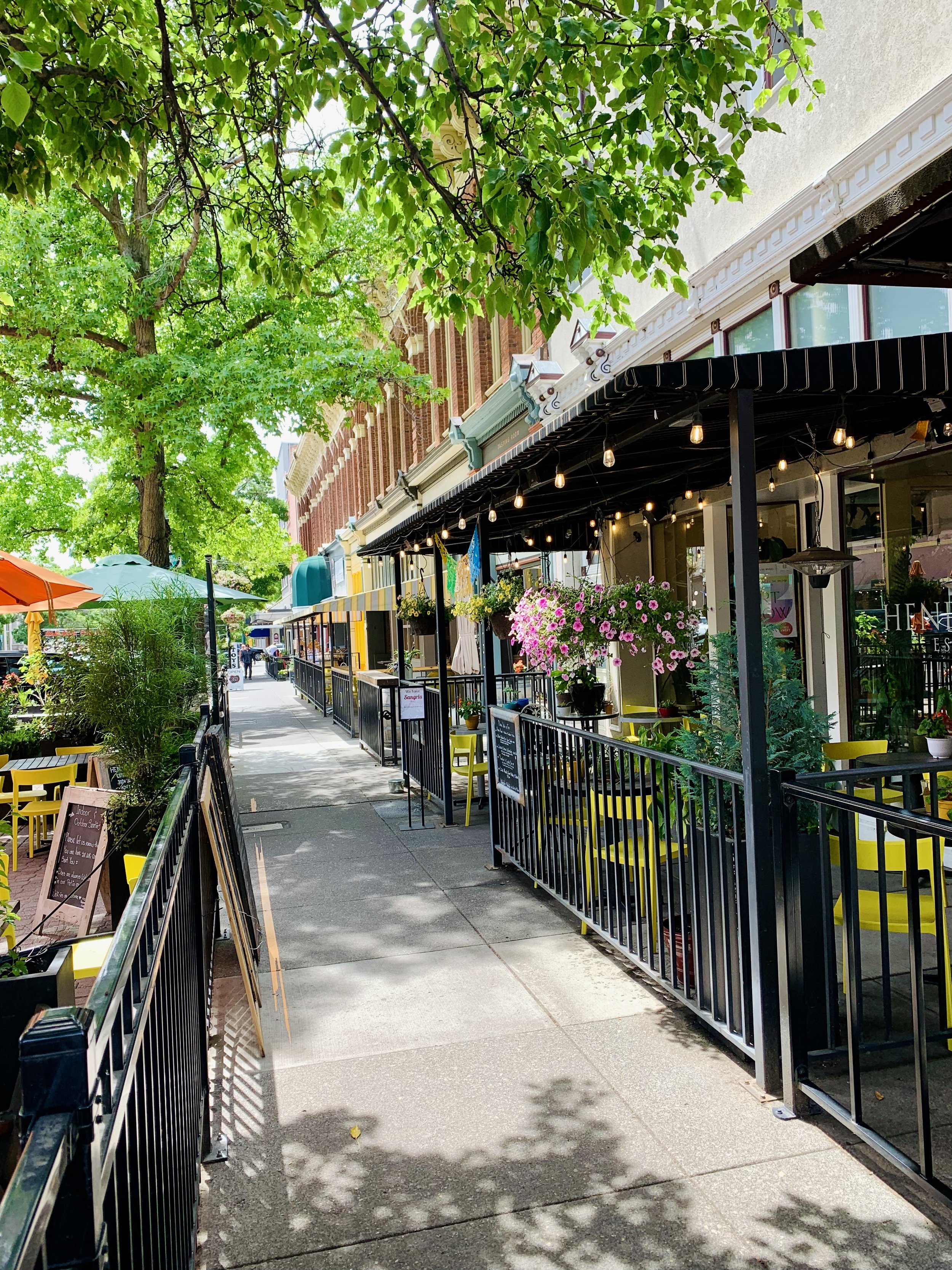 wine tours in Walla Walla