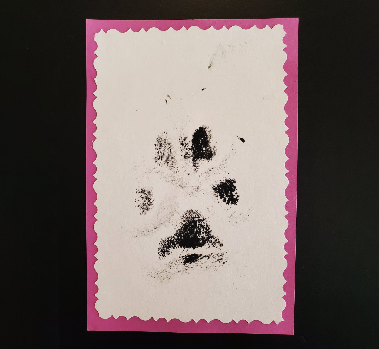 XL Paw Print Stamp Pad – Fur Gift