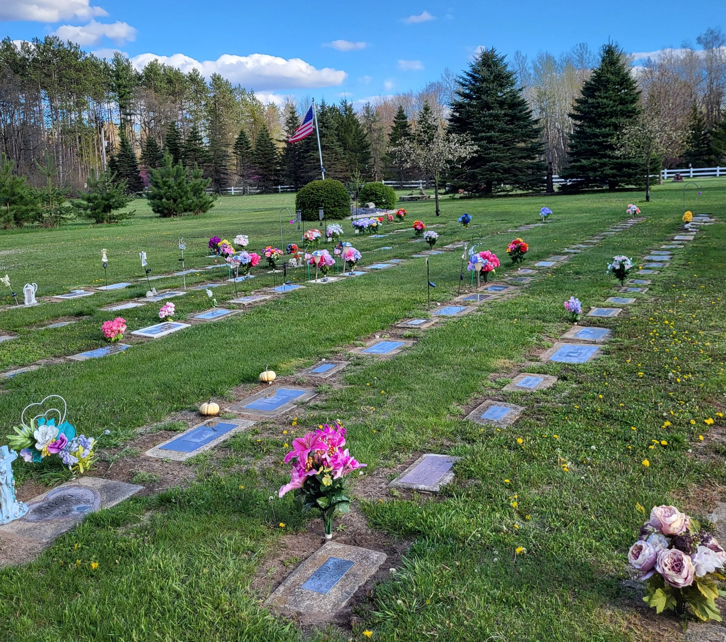 20260509_181624.jpg