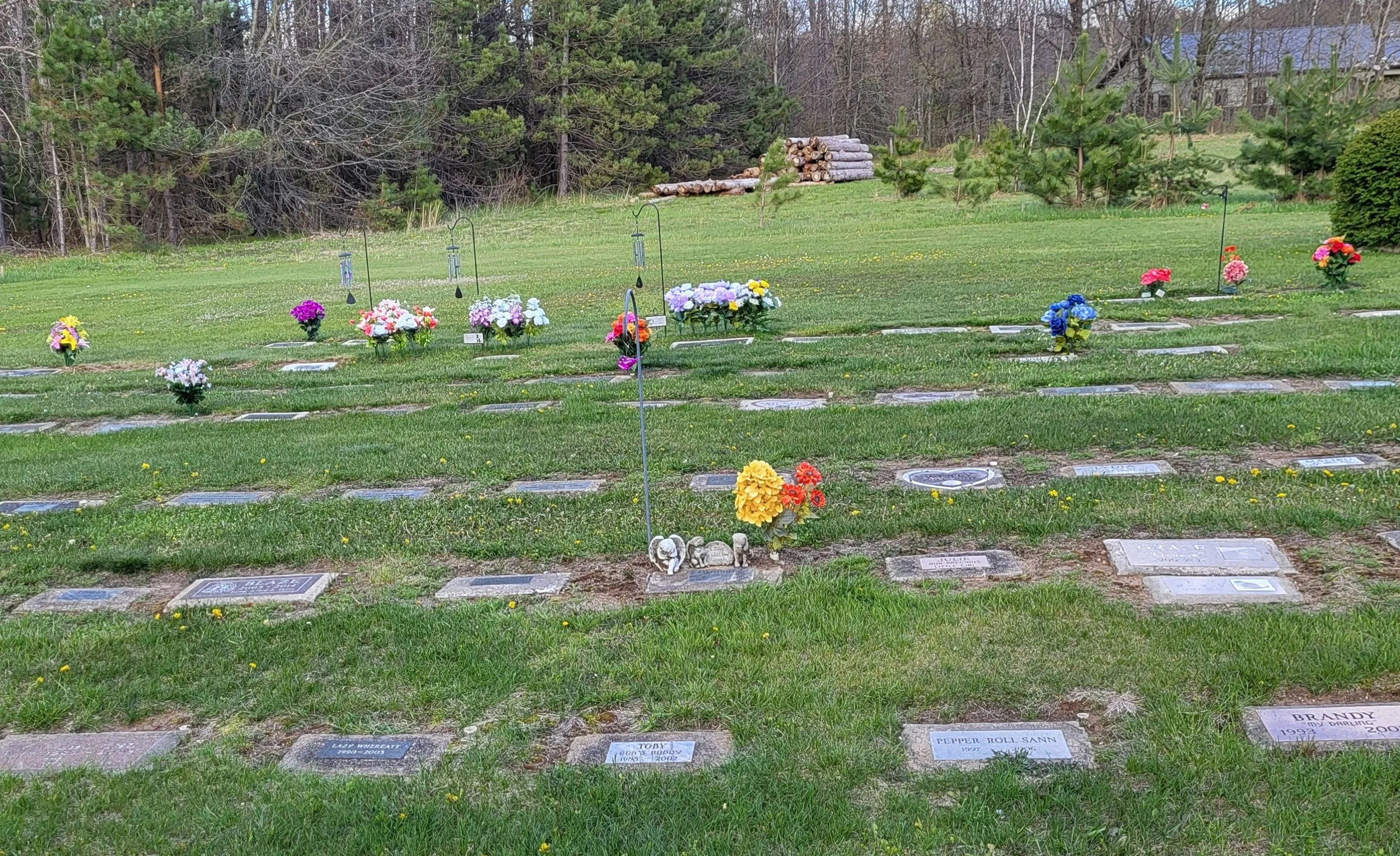 20260509_181737.jpg