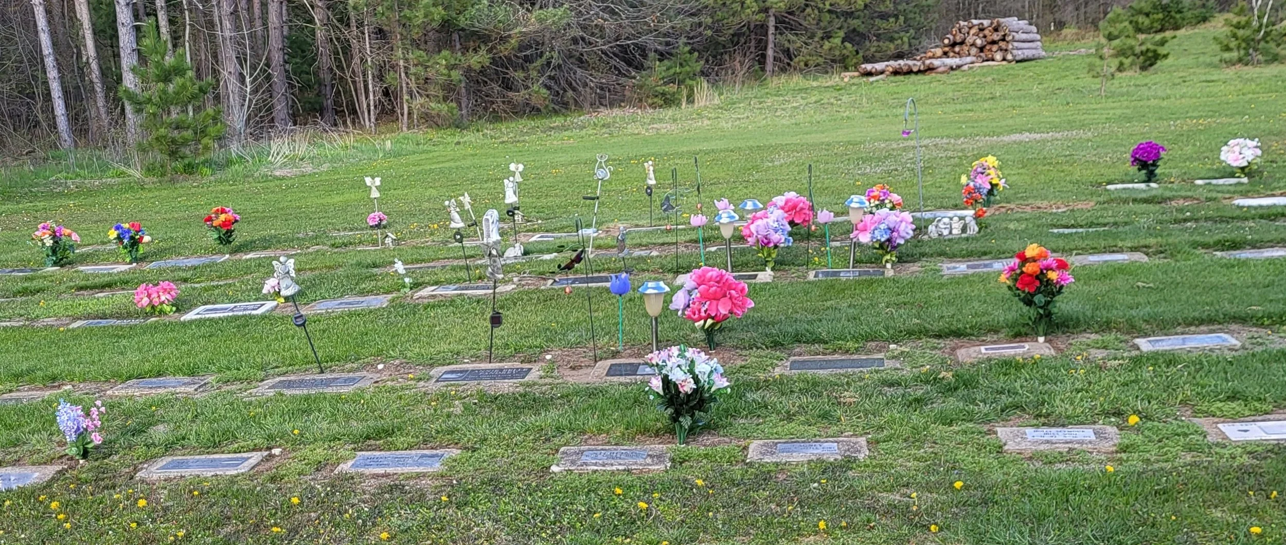 20260509_181715.jpg