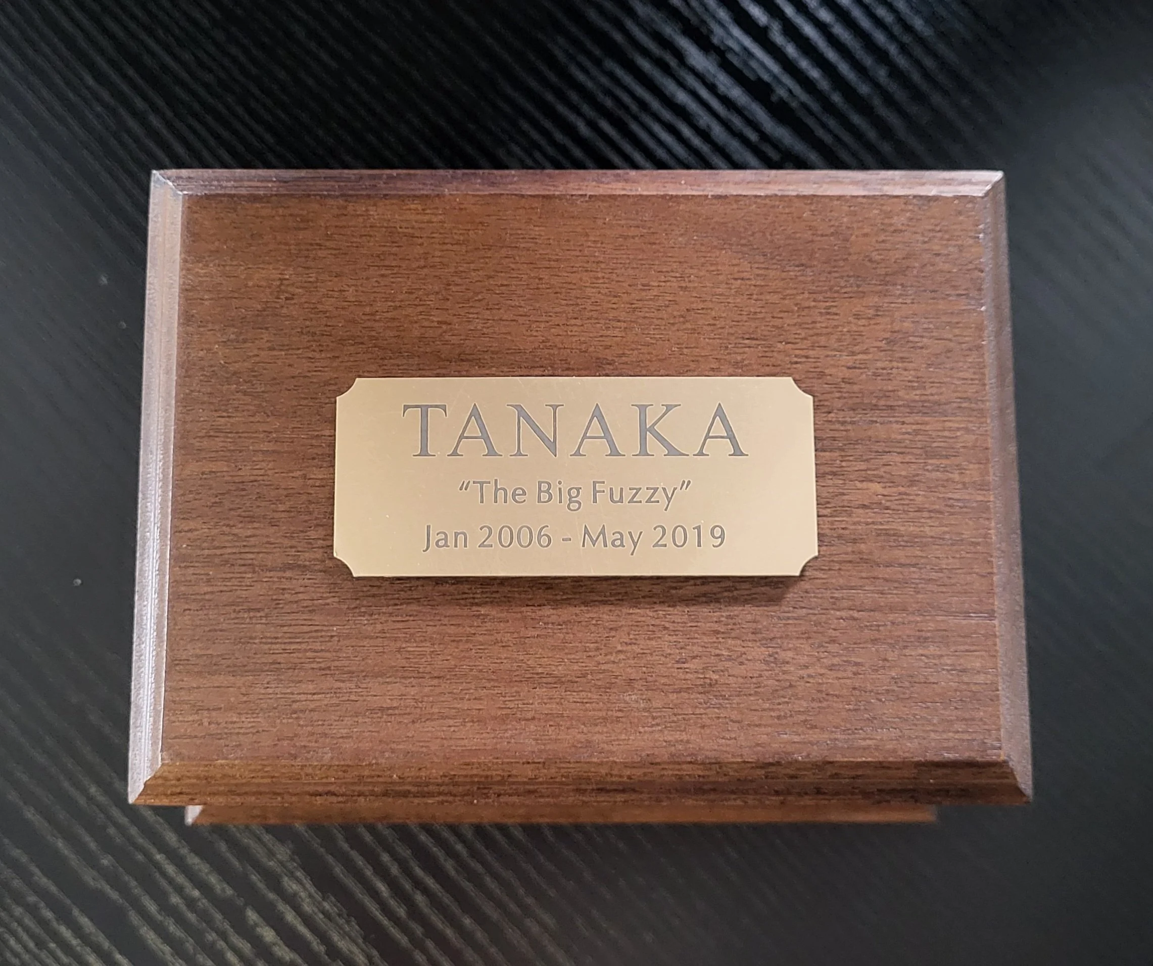 Med w.BPlate on top.jpg