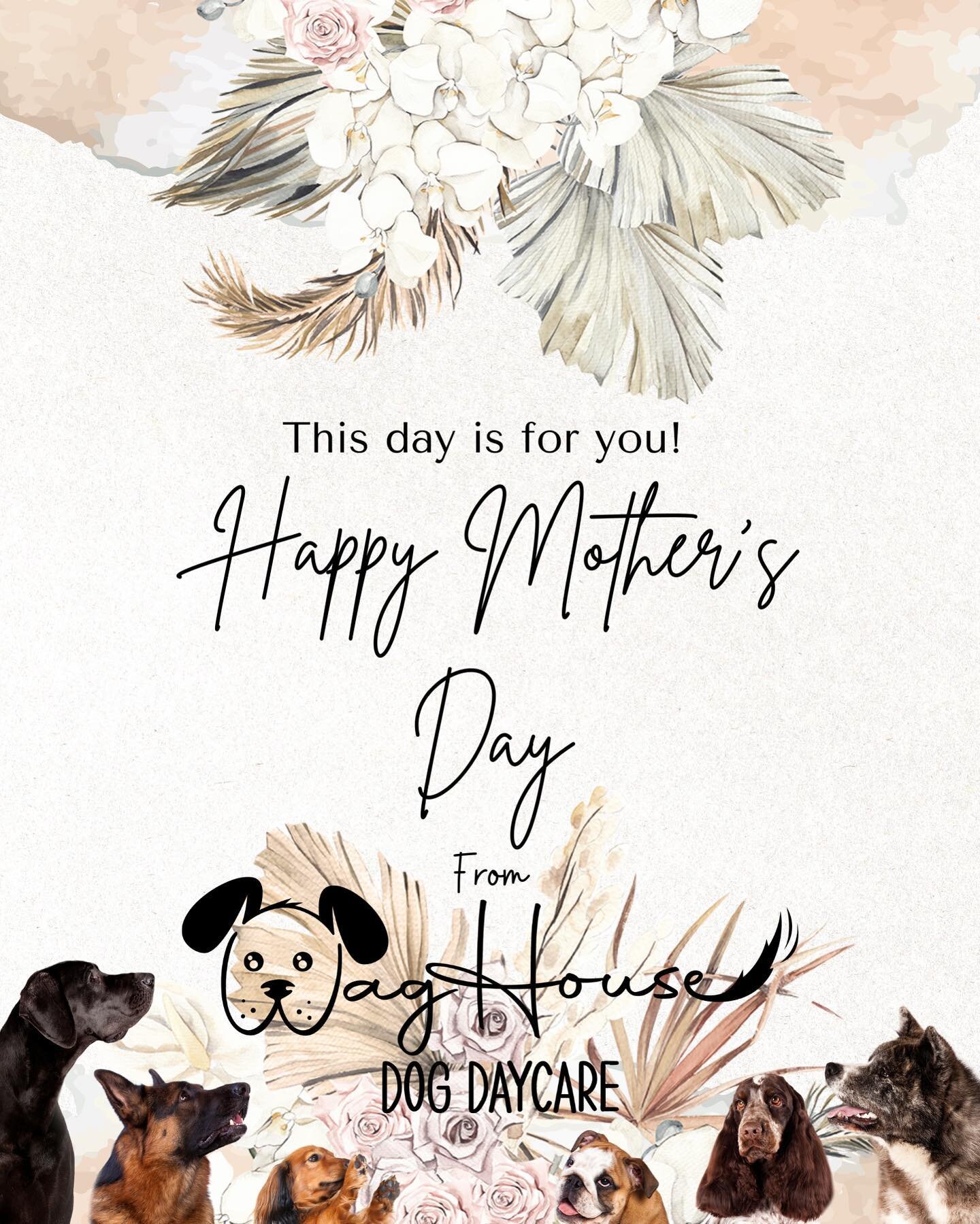 Happy Mother&rsquo;s Day to all you amazing mommas out there! You hold a special place in our hearts and whether you&rsquo;re a dog mom, human mom, other furry, scaley or feathery mom, or like a mom to someone important in your life, YOU are apprecia