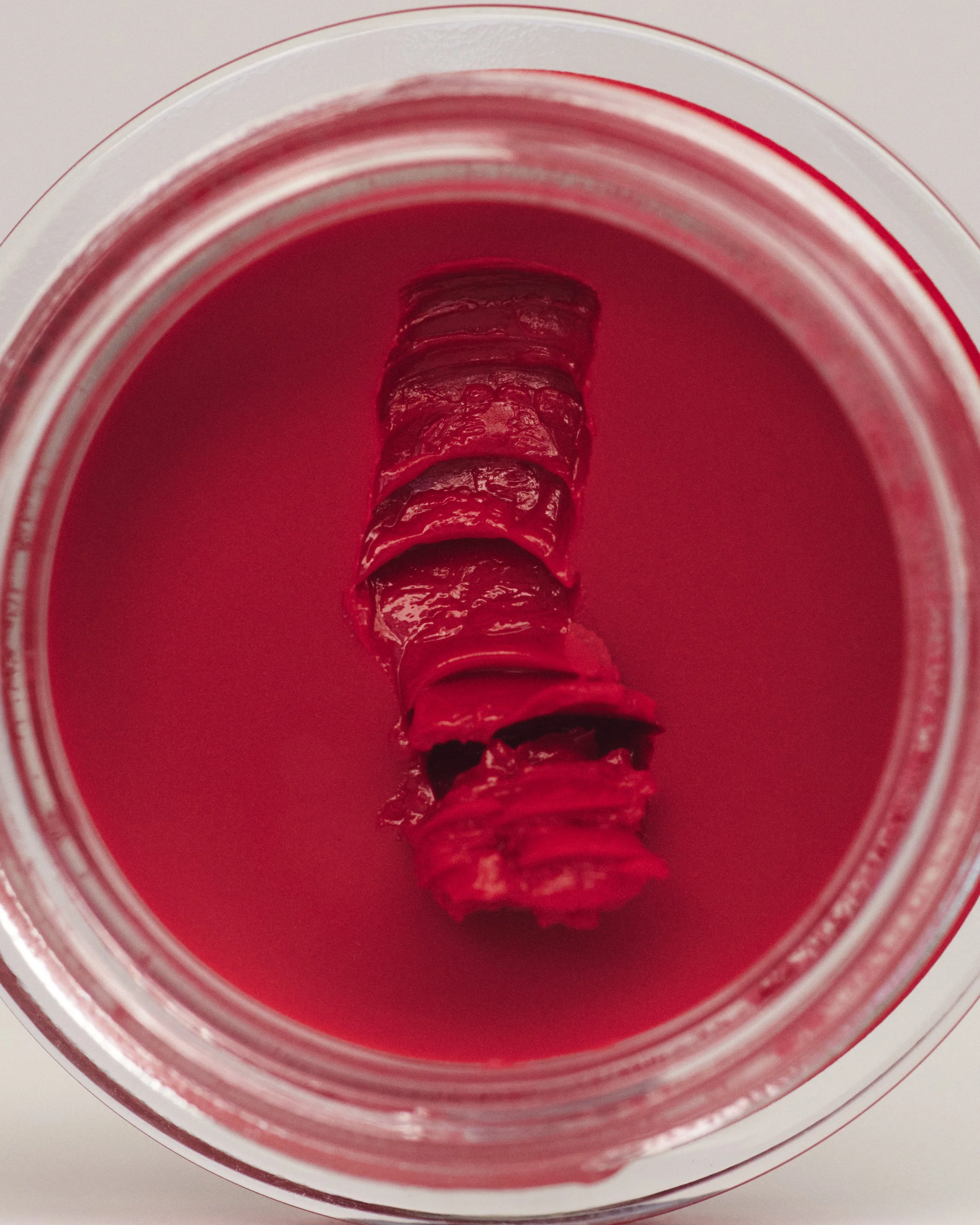 2024 SEP 20 ANON BEAUTY EDITORIAL17536.jpg