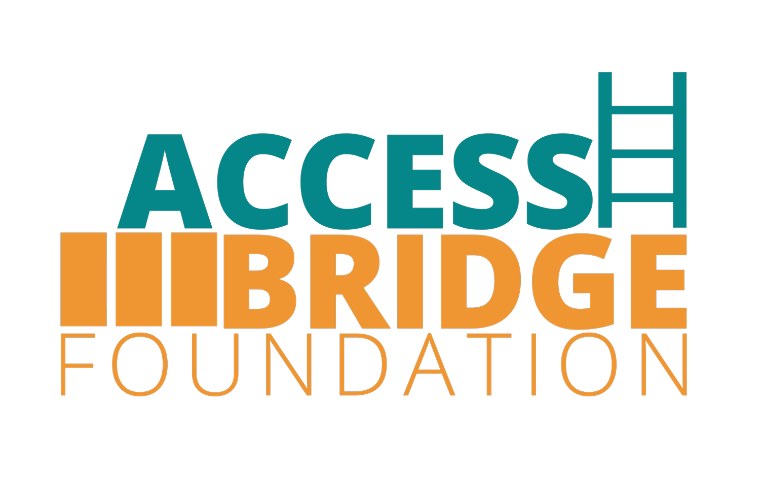 AccessBridge Foundation
