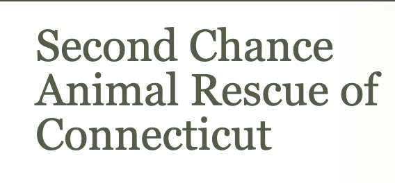 Second Chance Animal Rescue of Connecticut 