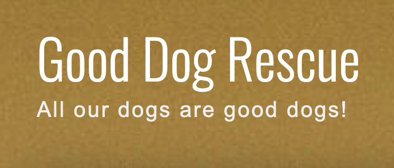 Good Dog Rescue
