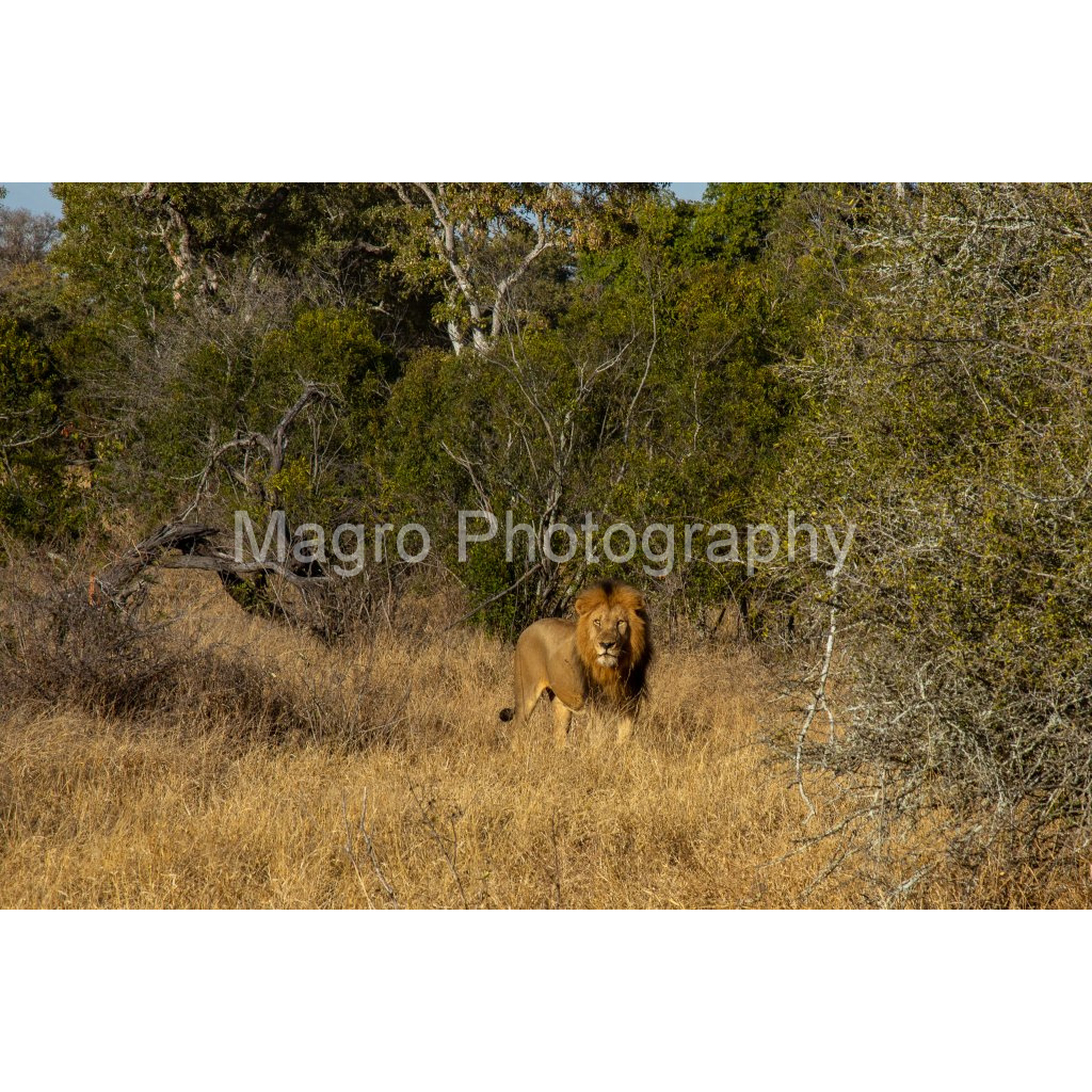 image_original_84f1043a0a10bfde0cbc5ea82d060d73.png