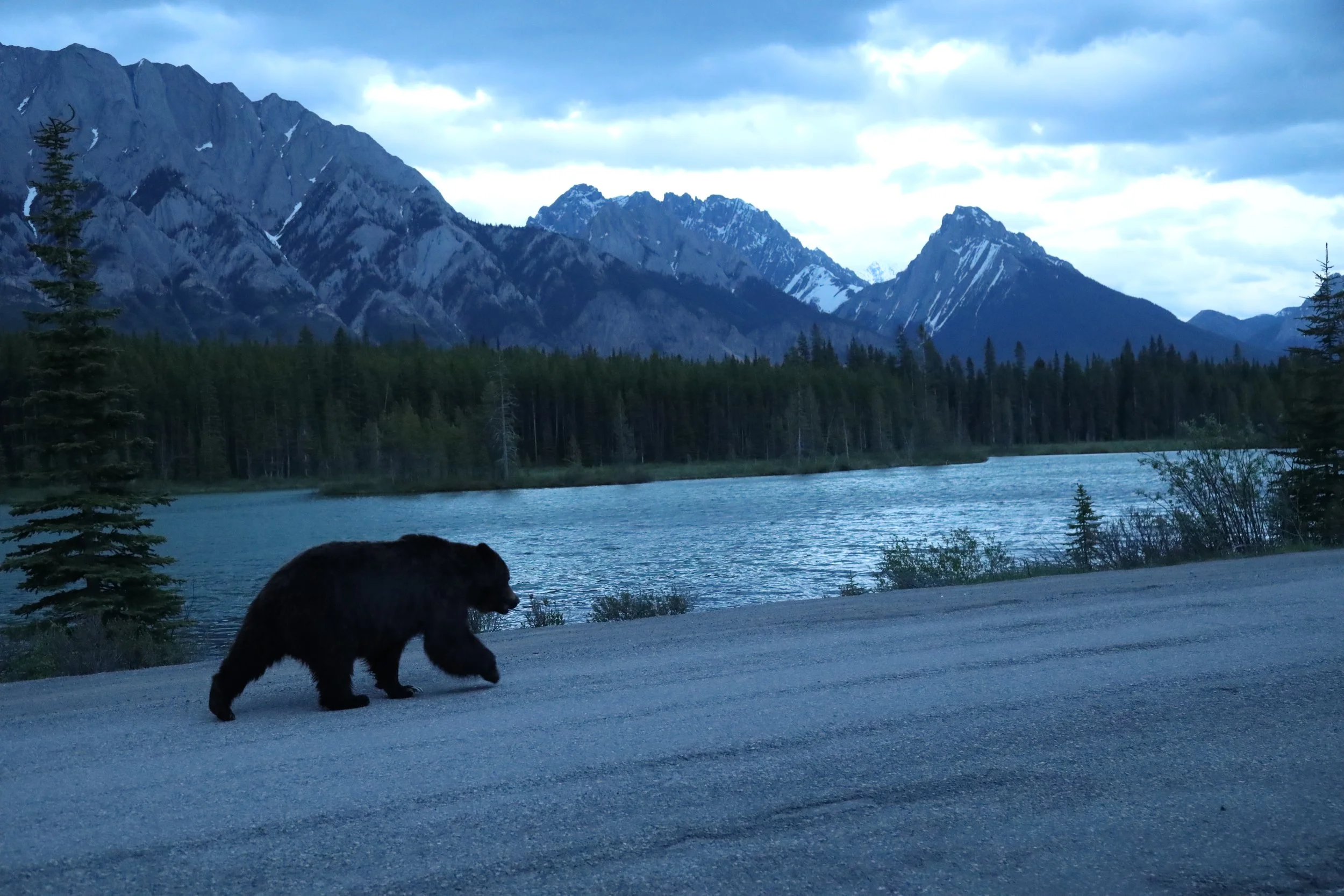 2024 - Canada - Grizzly Peak (2).JPG
